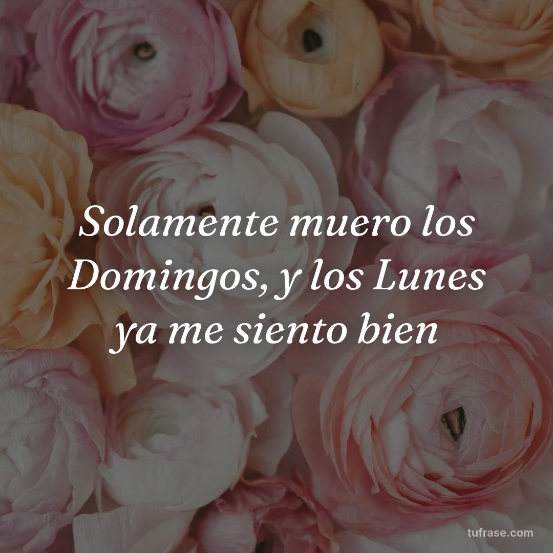 Solamente muero los Domingos, y los Lunes ya me siento bien