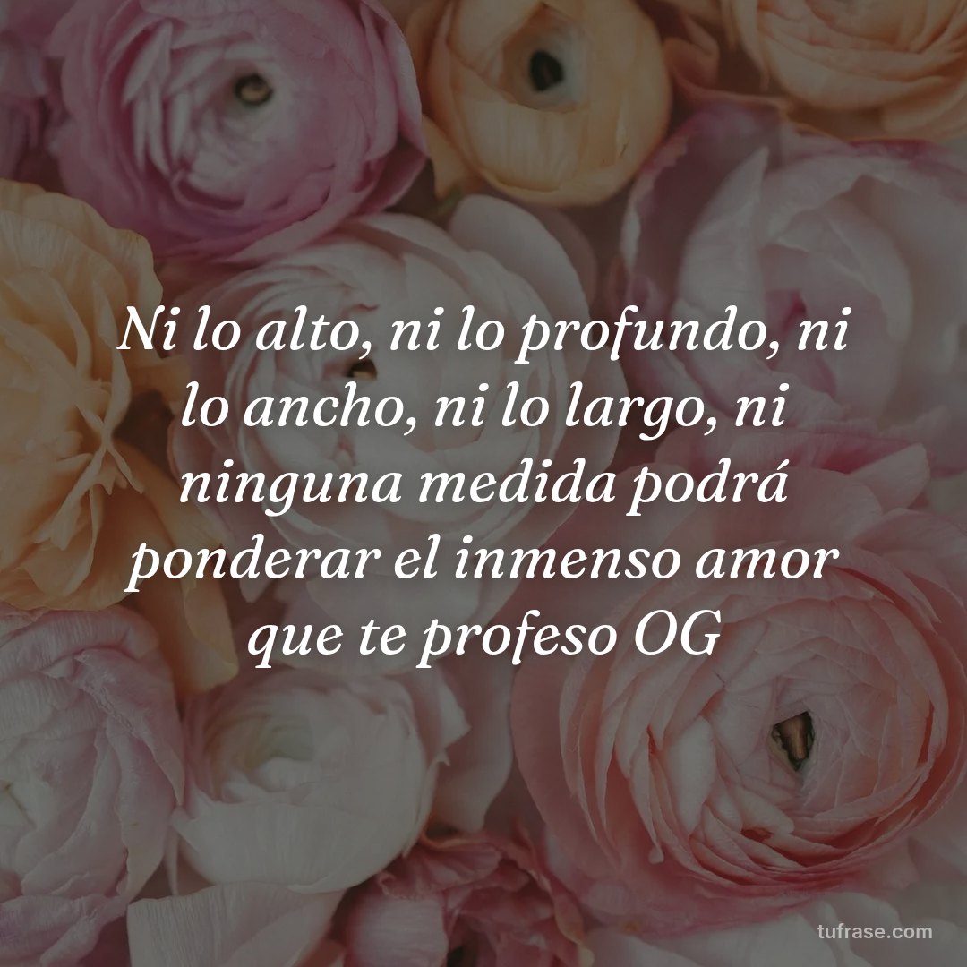 Ni lo alto, ni lo profundo, ni lo ancho, ni lo largo, ni ninguna medida podrá ponderar el inmenso amor que te profeso OG