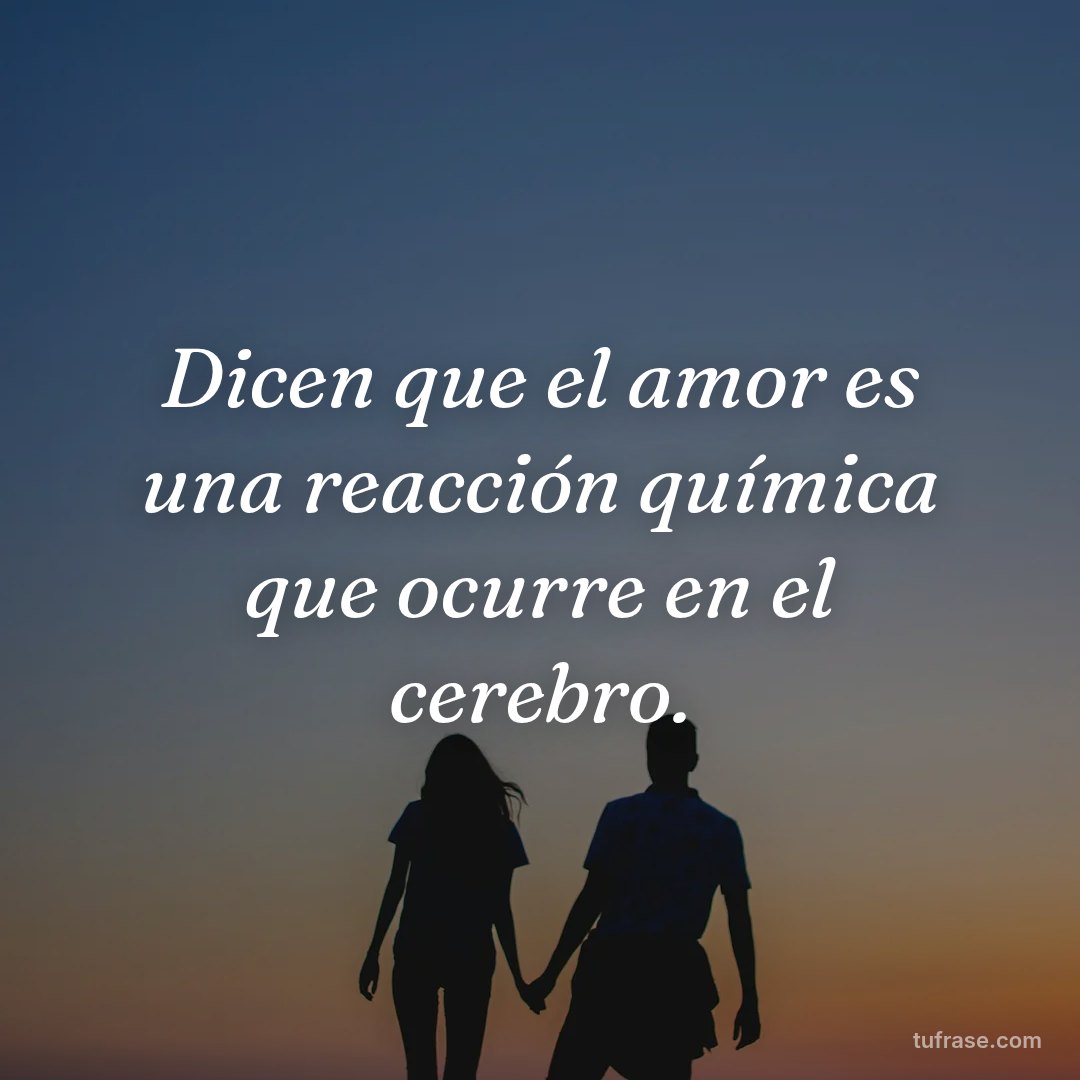 Dicen que el amor es una reacción química que ocurre en el cerebro.