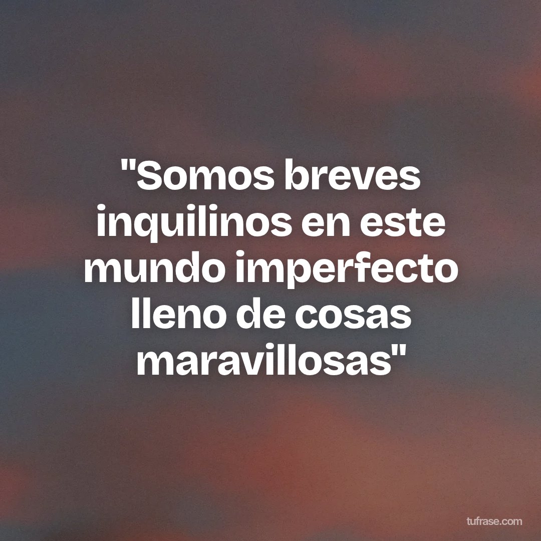 "Somos breves inquilinos en este mundo imperfecto lleno de cosas maravillosas"