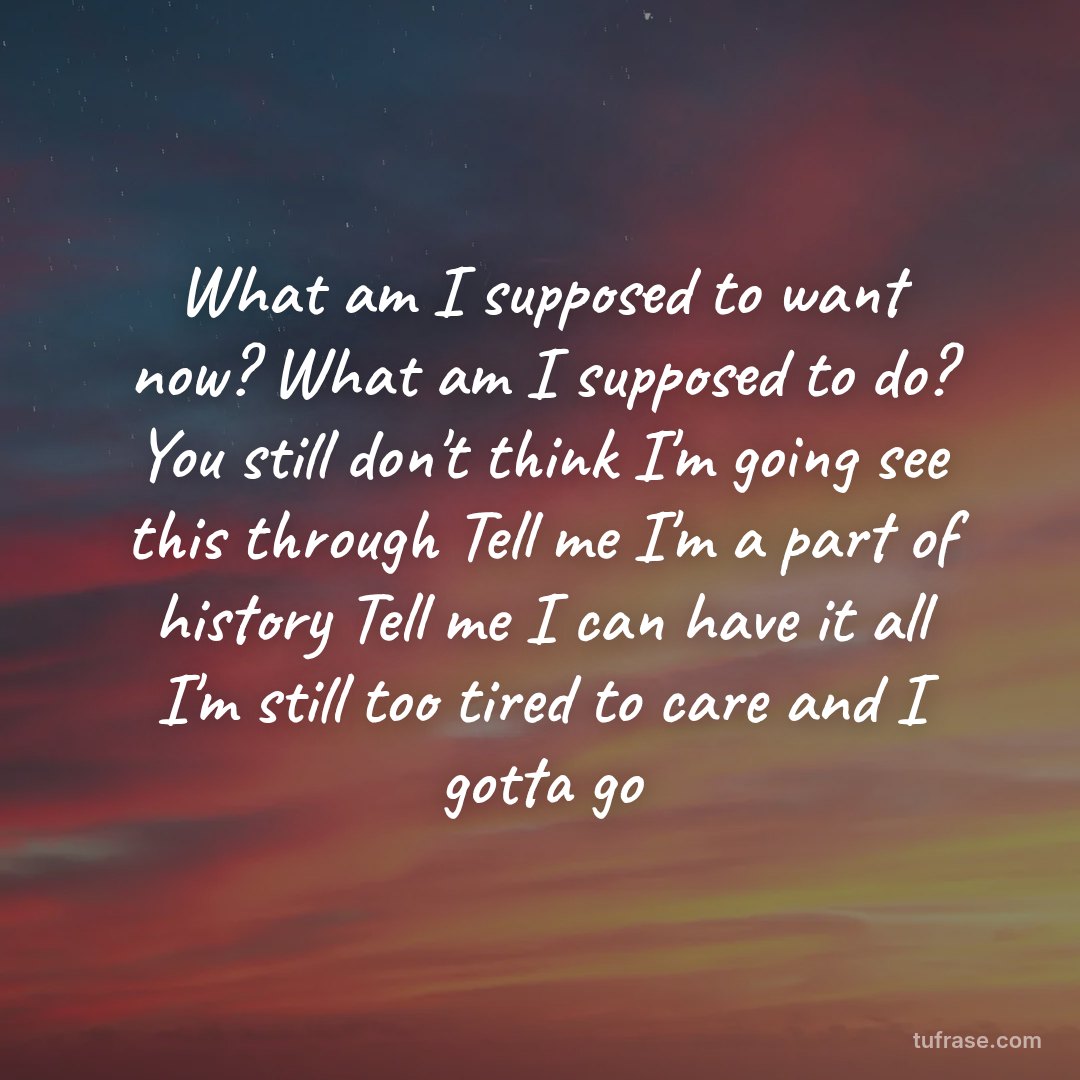 What am I supposed to want now? What am I supposed to do? You still don't think I'm going see this through Tell me I'm a part of history Tell me I can have it all I'm still too tired to care and I gotta go
