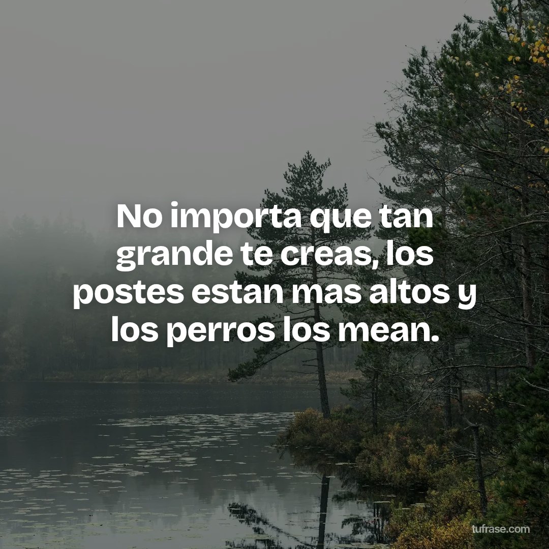 No importa que tan grande te creas, los postes estan mas altos y los perros los mean.