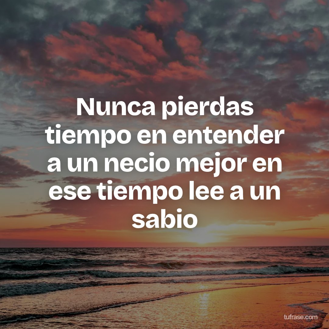 Nunca pierdas tiempo en entender a un necio mejor en ese tiempo lee a un sabio