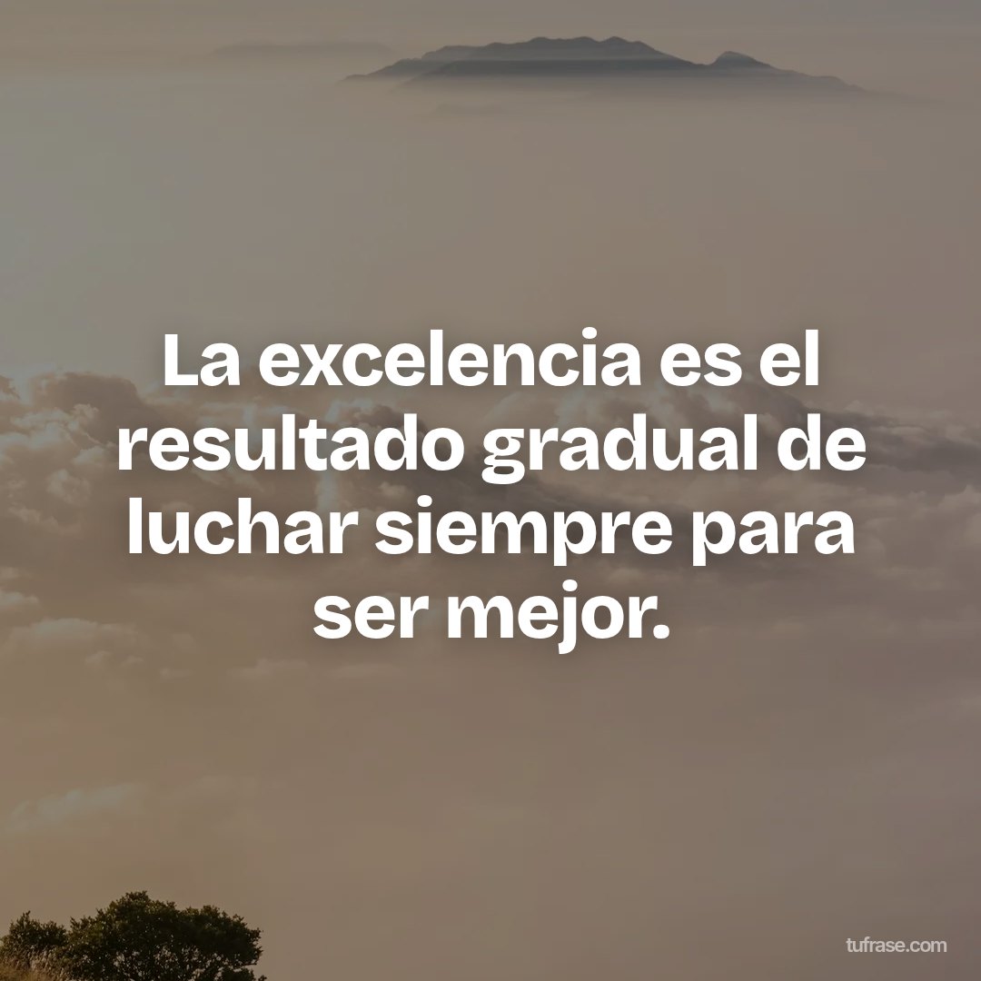 La excelencia es el resultado gradual de luchar siempre para ser mejor.