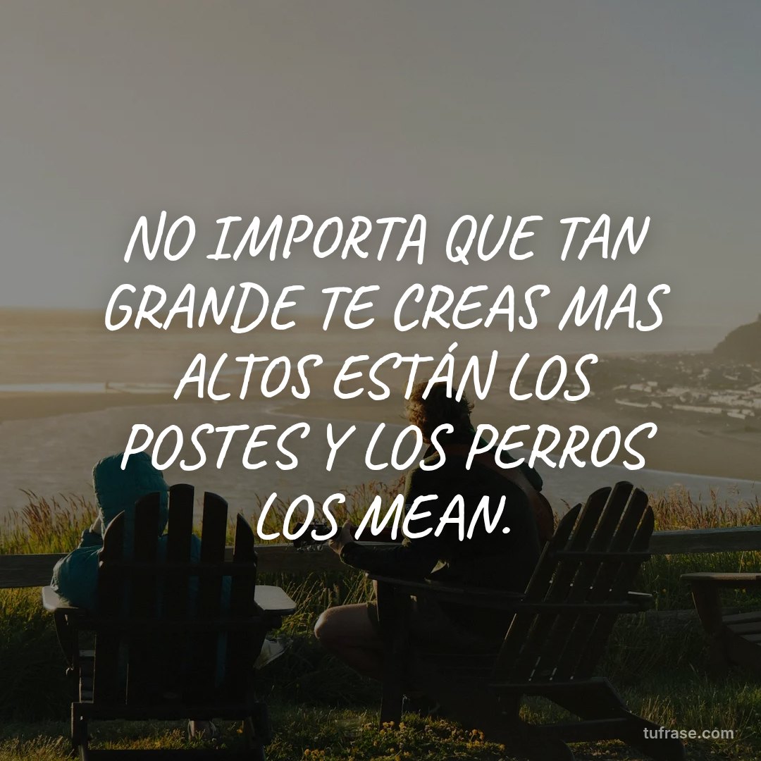 NO IMPORTA QUE TAN GRANDE TE CREAS MAS ALTOS ESTÁN LOS POSTES Y LOS PERROS LOS MEAN.