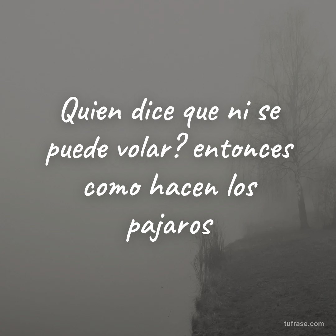 Quien dice que ni se puede volar? entonces como hacen los pajaros