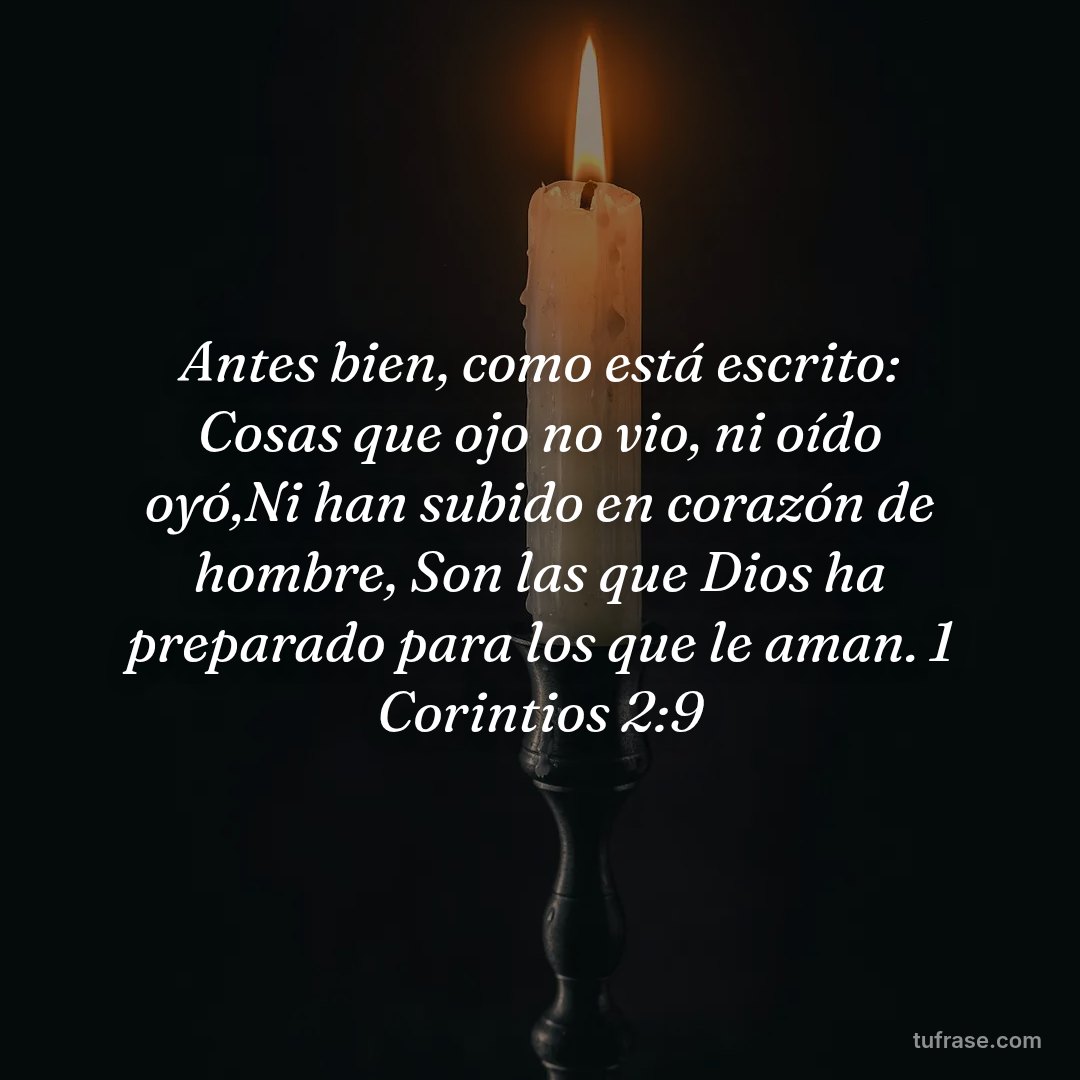 Antes bien, como está escrito: Cosas que ojo no vio, ni oído oyó,Ni han subido en corazón de hombre, Son las que Dios ha preparado para los que le aman. 1 Corintios 2:9
