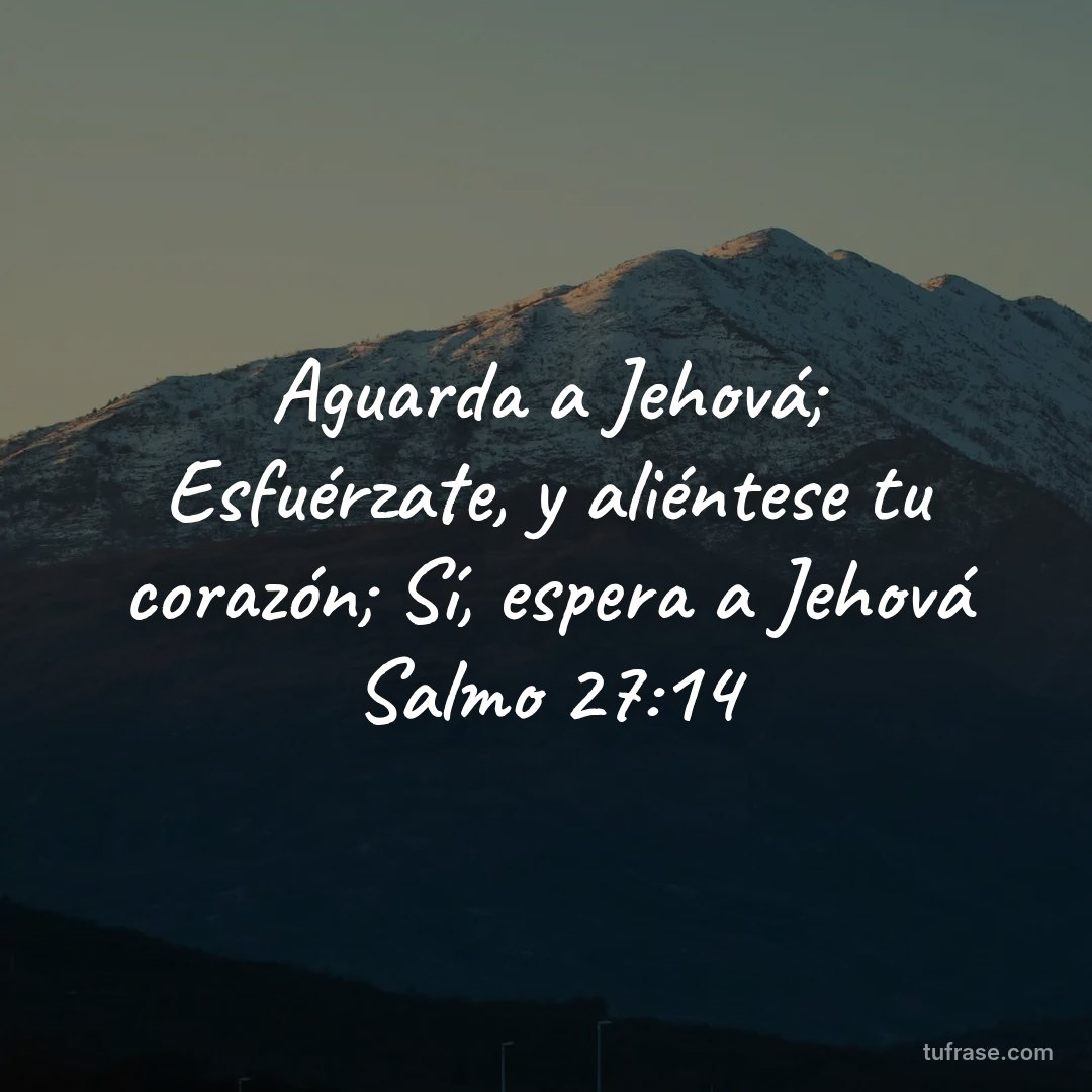 Aguarda a Jehová; Esfuérzate, y aliéntese tu corazón; Sí, espera a Jehová Salmo 27:14