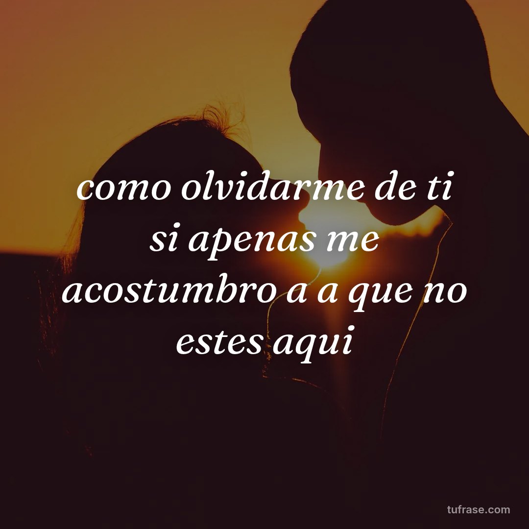 como olvidarme de ti si apenas me acostumbro a a que no estes aqui