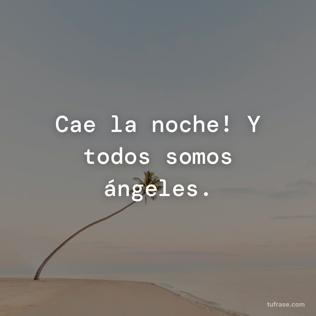 Cae la noche! Y todos somos ángeles.
