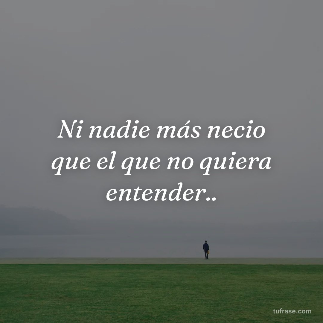 Ni nadie más necio que el que no quiera entender..