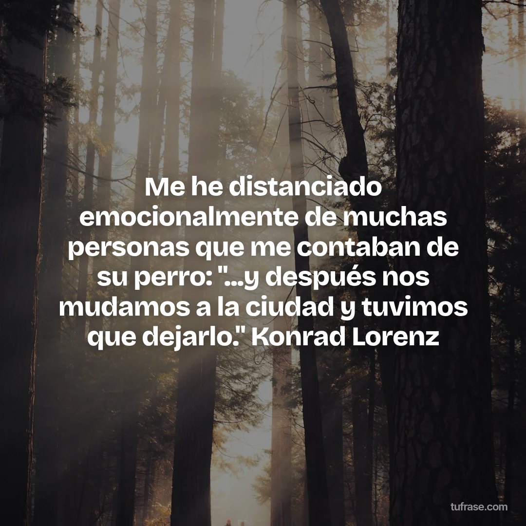 Me he distanciado emocionalmente de muchas personas que me contaban de su perro: "...y después nos mudamos a la ciudad y tuvimos que dejarlo." Konrad Lorenz