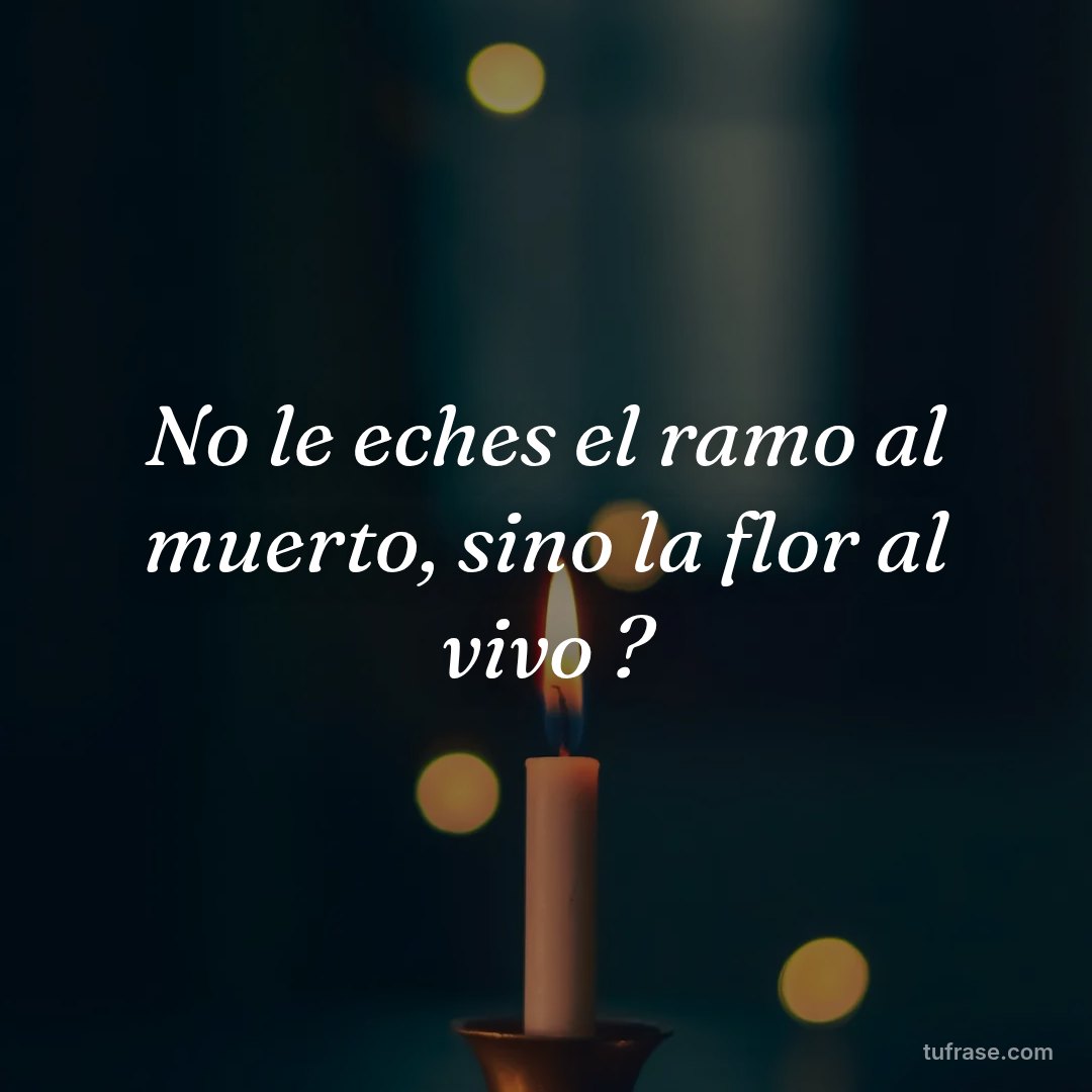 No le eches el ramo al muerto, sino la flor al vivo ?