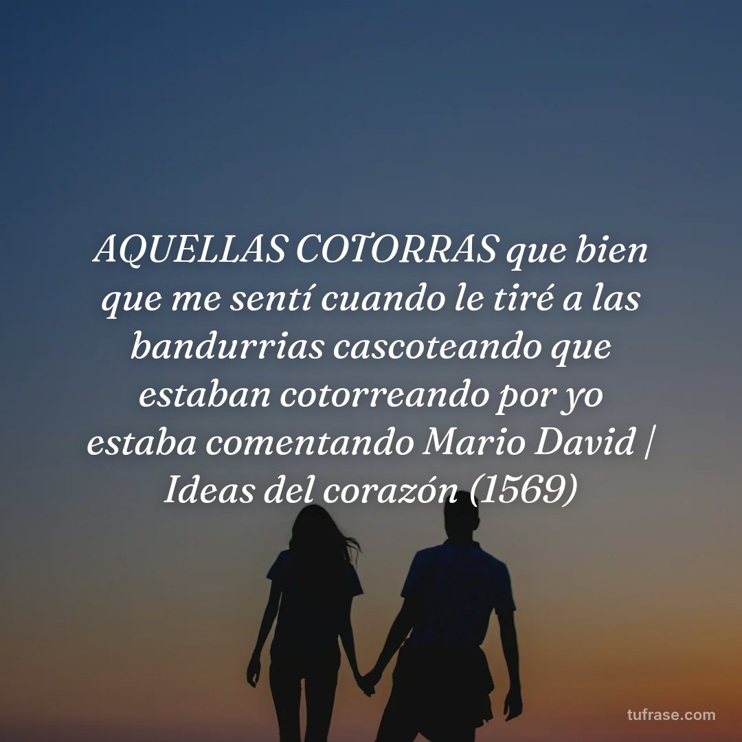 AQUELLAS COTORRAS que bien que me sentí cuando le tiré a las bandurrias cascoteando que estaban cotorreando por yo estaba comentando Mario David | Ideas del corazón (1569)