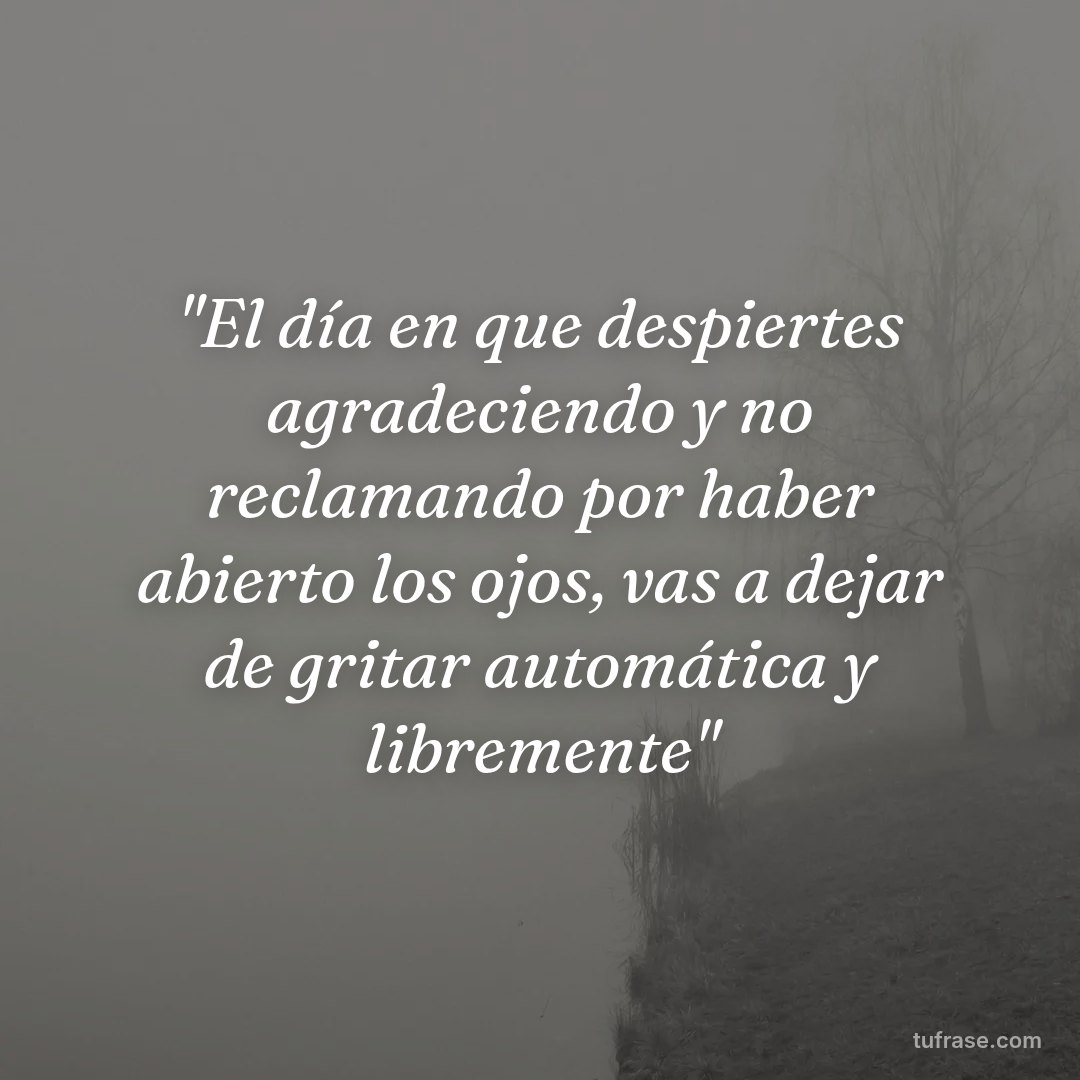 "El día en que despiertes agradeciendo y no reclamando por haber abierto los ojos, vas a dejar de gritar automática y libremente"