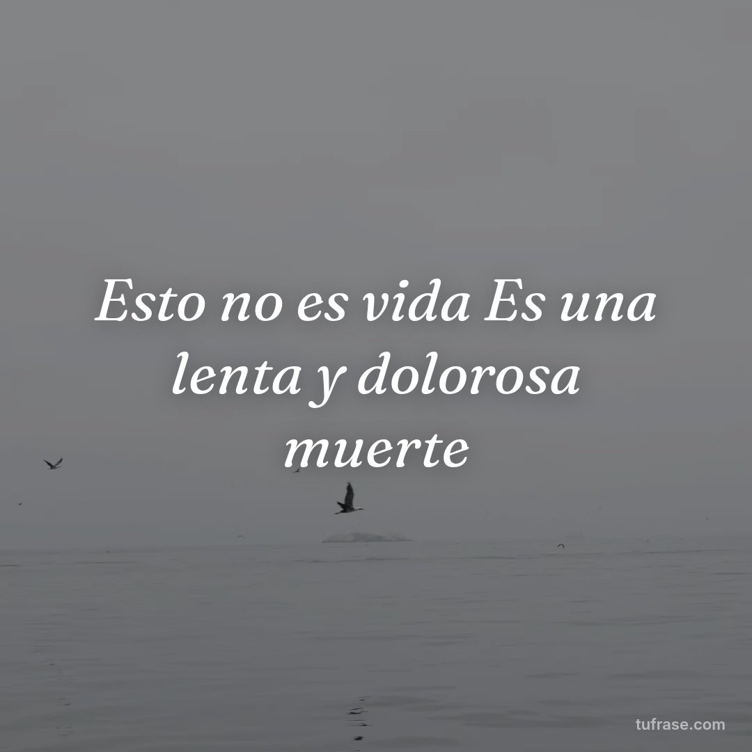 Esto no es vida Es una lenta y dolorosa muerte