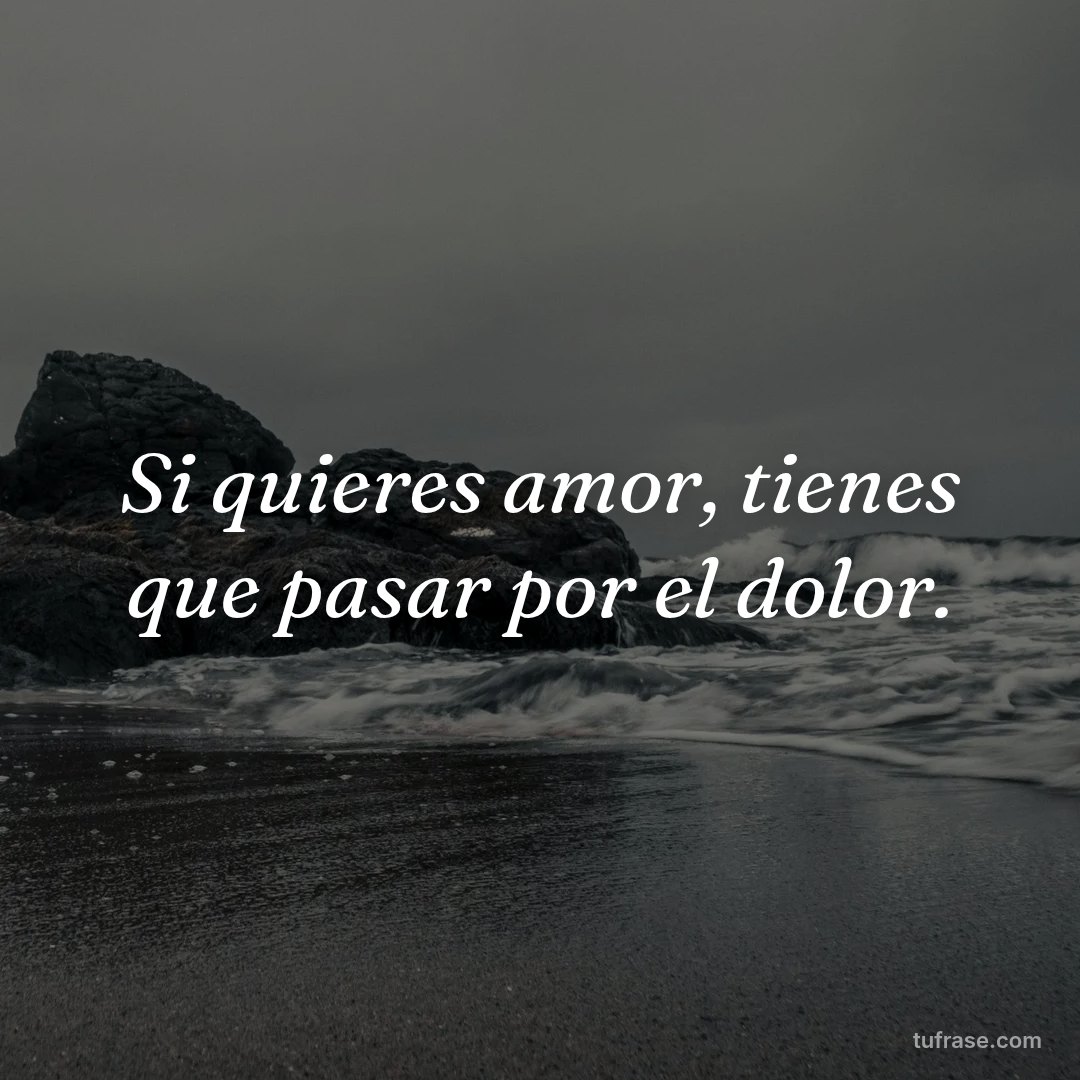 Si quieres amor, tienes que pasar por el dolor.