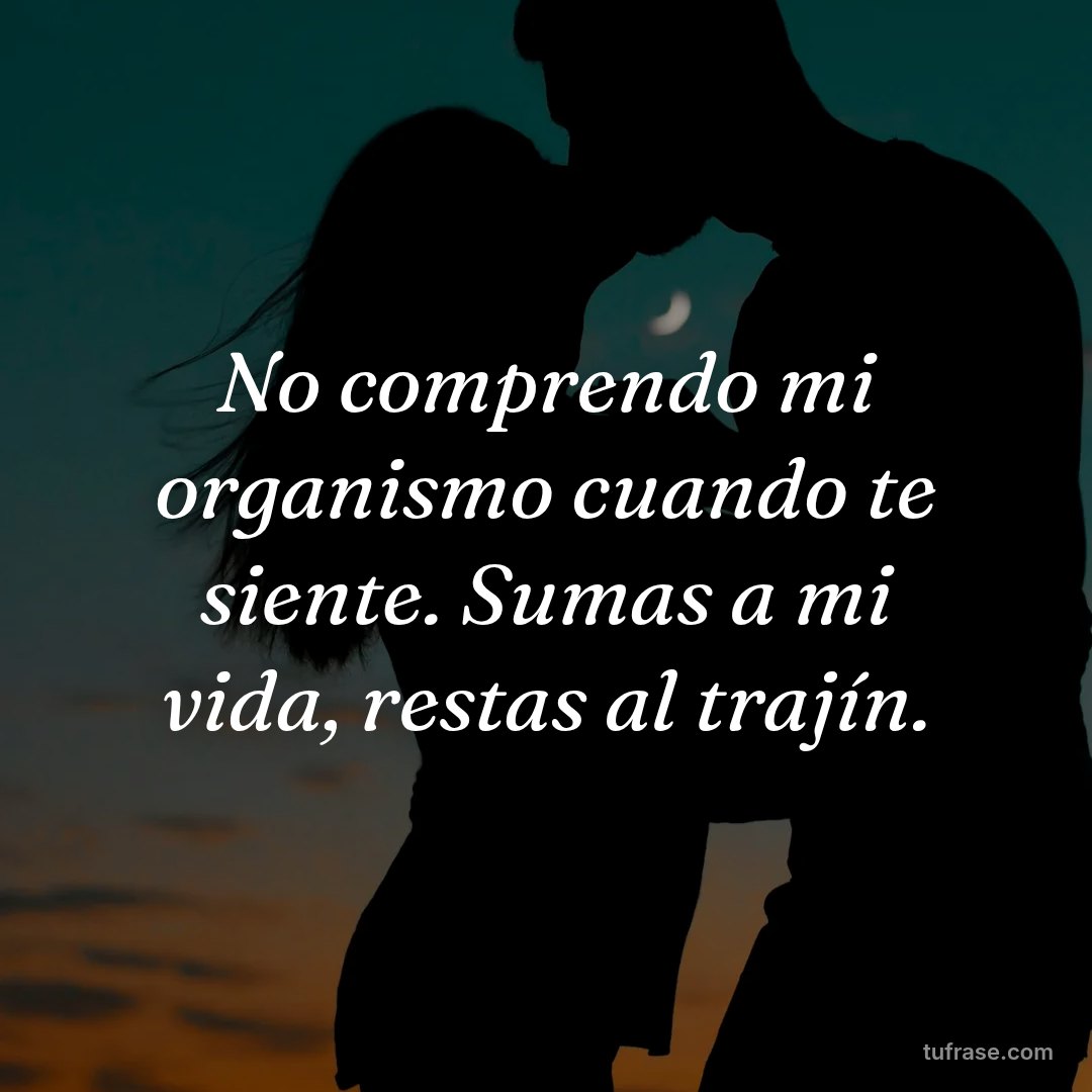No comprendo mi organismo cuando te siente. Sumas a mi vida, restas al trajín.