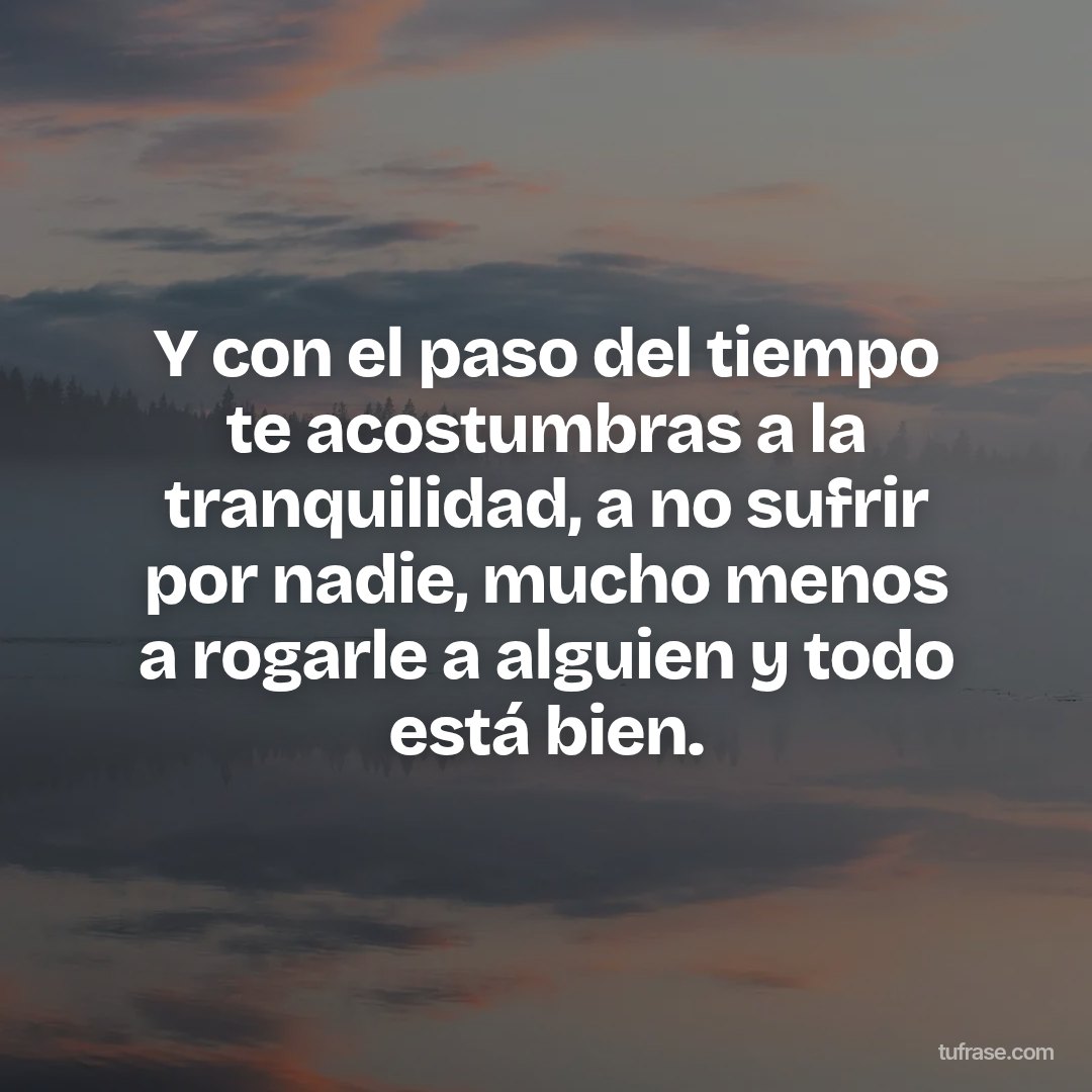 Y con el paso del tiempo te acostumbras a la tranquilidad, a no sufrir por nadie, mucho menos a rogarle a alguien y todo está bien.