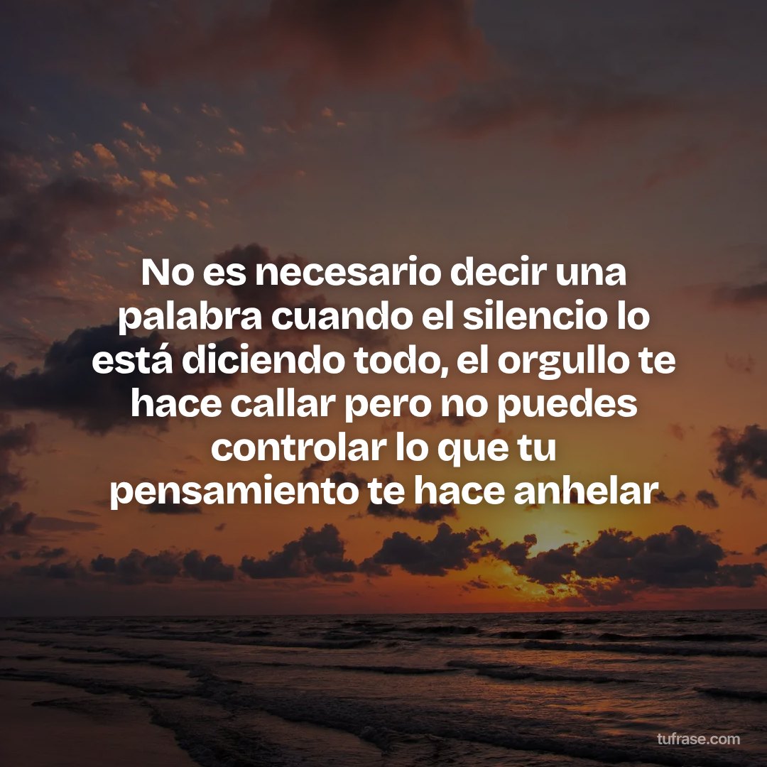 No es necesario decir una palabra cuando el silencio lo está diciendo todo, el orgullo te hace callar pero no puedes controlar lo que tu pensamiento te hace anhelar