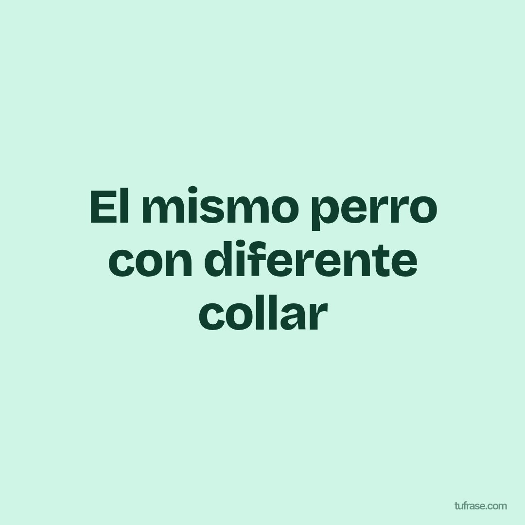 El mismo perro con diferente collar