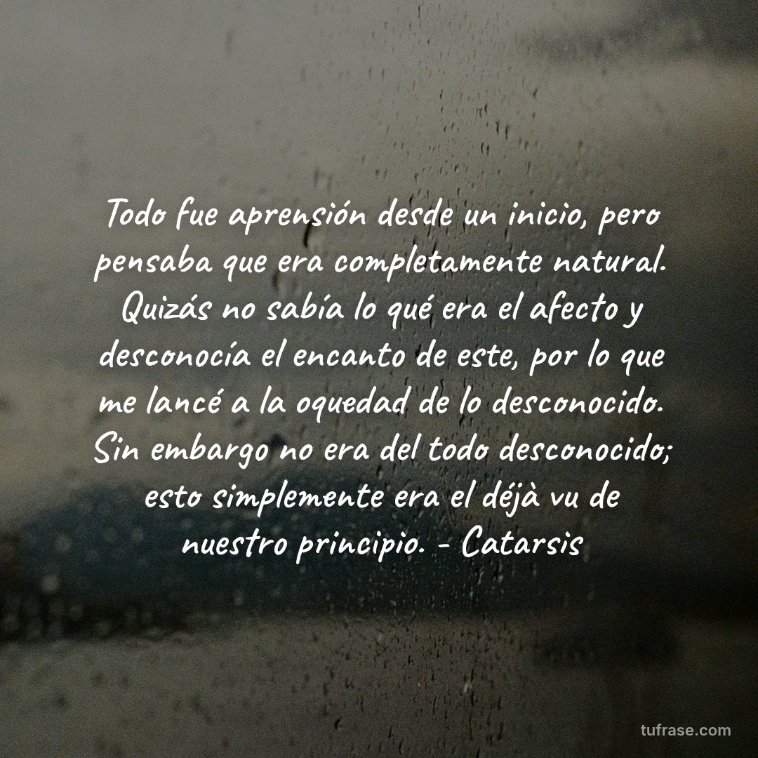 Todo fue aprensión desde un inicio, pero pensaba que era completamente natural. Quizás no sabía lo qué era el afecto y desconocía el encanto de este, por lo que me lancé a la oquedad de lo desconocido. Sin embargo no era del todo desconocido; esto simplemente era el déjà vu de nuestro principio. - Catarsis