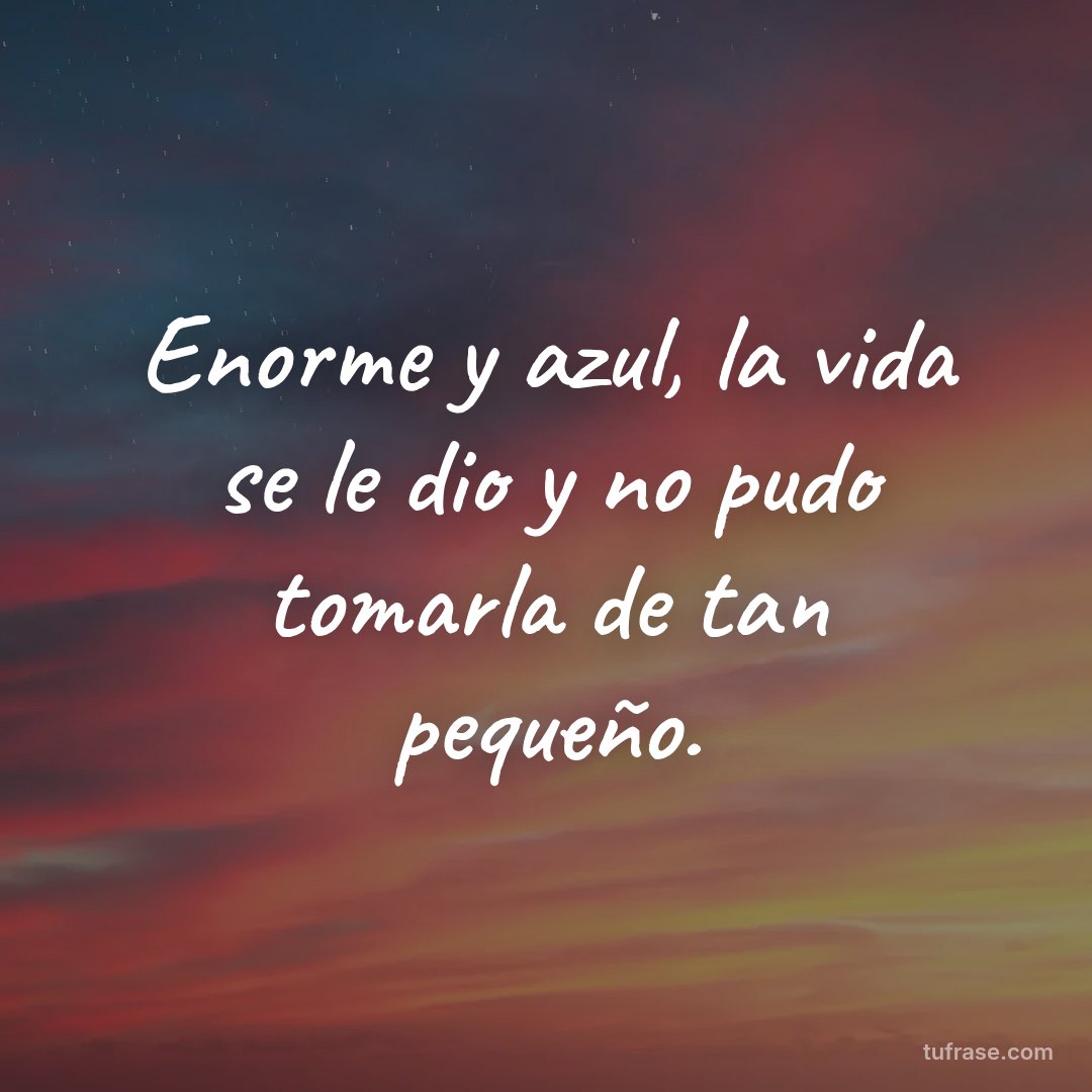 Enorme y azul, la vida se le dio y no pudo tomarla de tan pequeño.