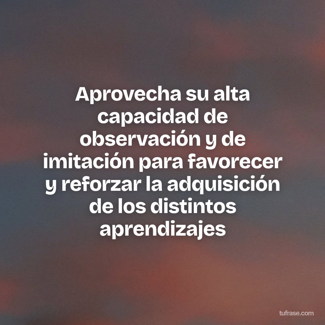 Aprovecha su alta capacidad de observación y de imitación para favorecer y reforzar la adquisición de los distintos aprendizajes