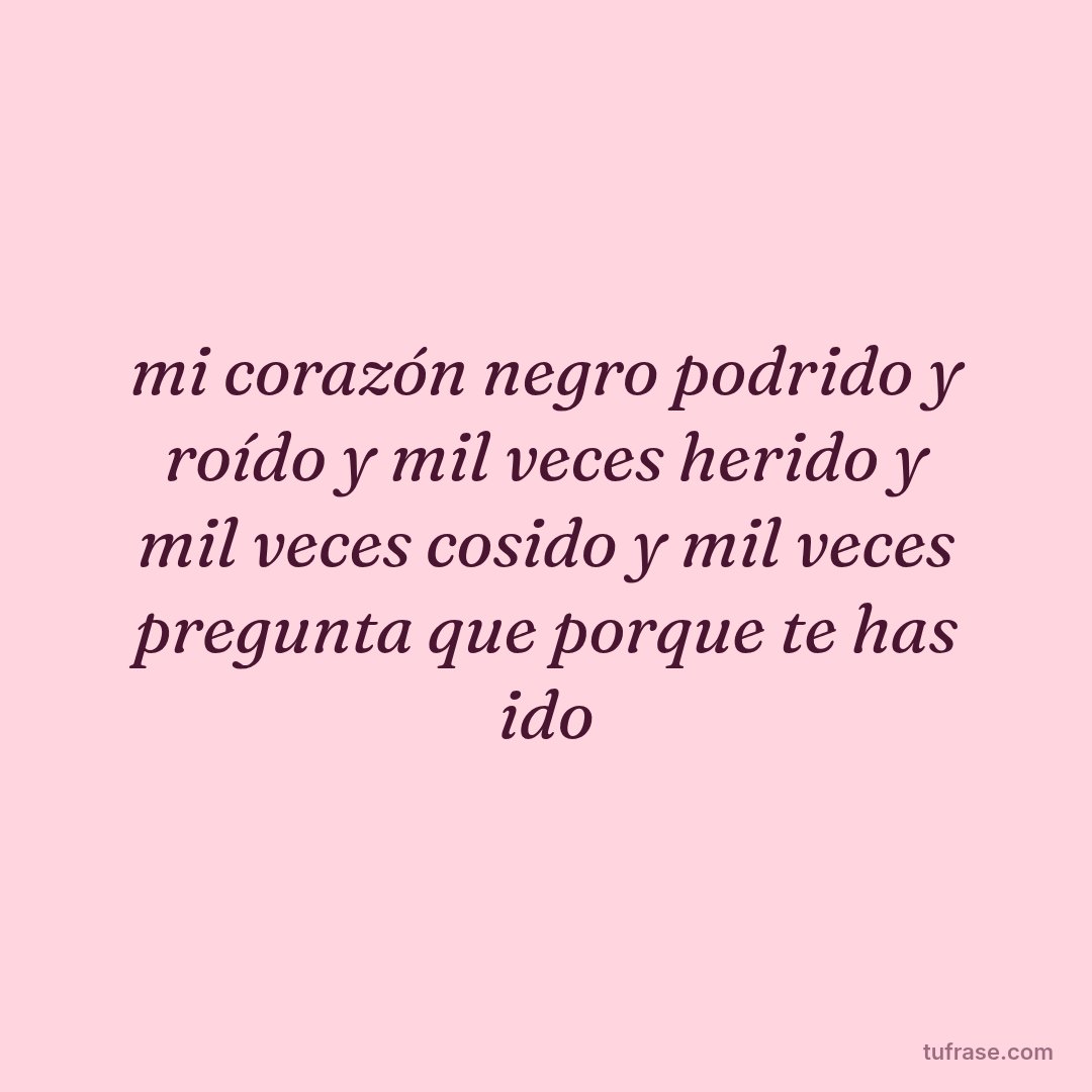 mi corazón negro podrido y roído y mil veces herido y mil veces cosido y mil veces pregunta que porque te has ido