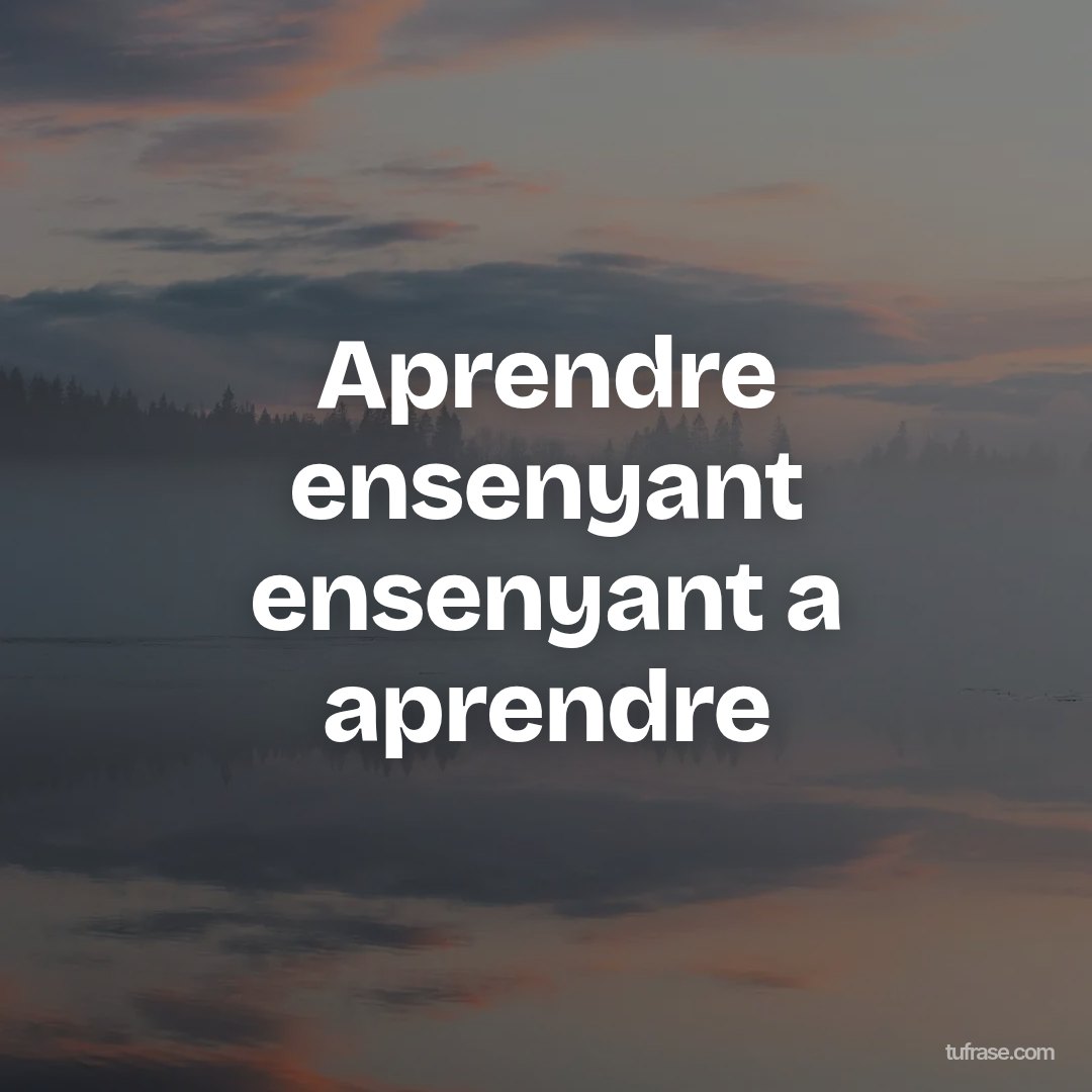 Aprendre ensenyant ensenyant a aprendre
