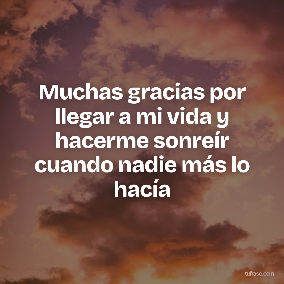 Muchas gracias por llegar a mi vida y hacerme sonreír cuando nadie más lo hacía