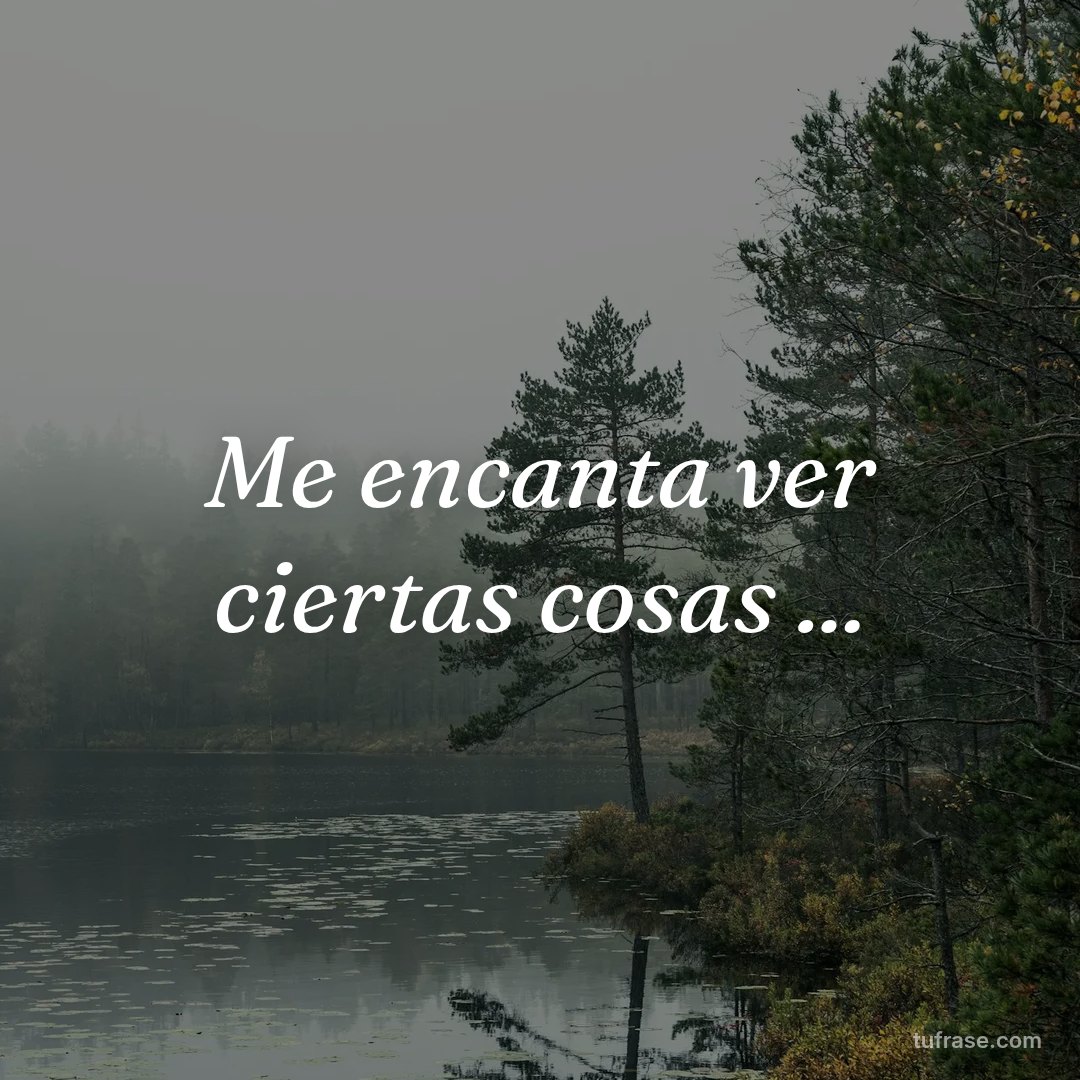 Me encanta ver ciertas cosas ...