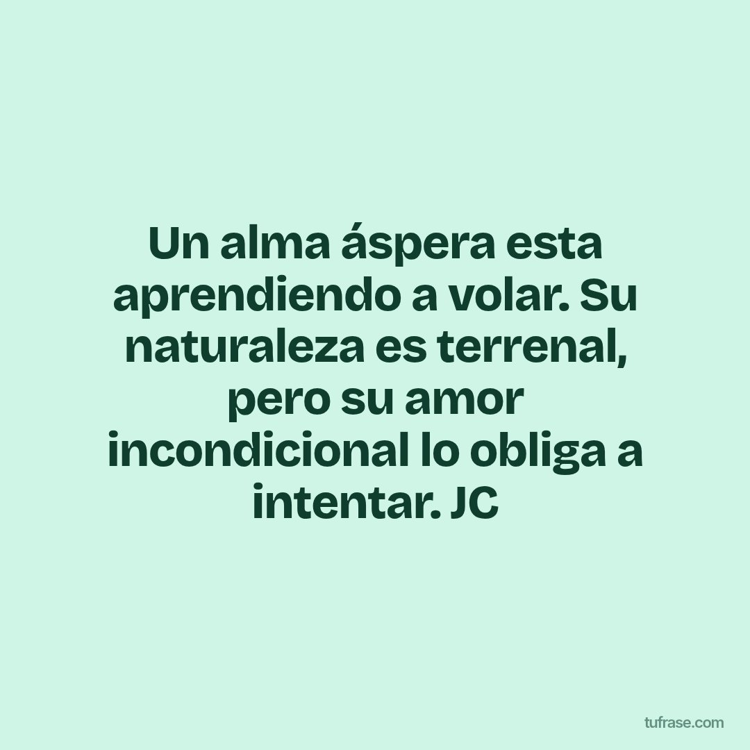 Un alma áspera esta aprendiendo a volar. Su naturaleza es terrenal, pero su amor incondicional lo obliga a intentar. JC