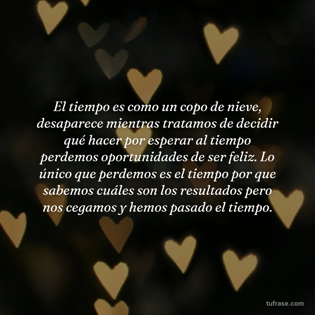 El tiempo es como un copo de nieve, desaparece mientras tratamos de decidir qué hacer por esperar al tiempo perdemos oportunidades de ser feliz. Lo único que perdemos es el tiempo por que sabemos cuáles son los resultados pero nos cegamos y hemos pasado el tiempo.