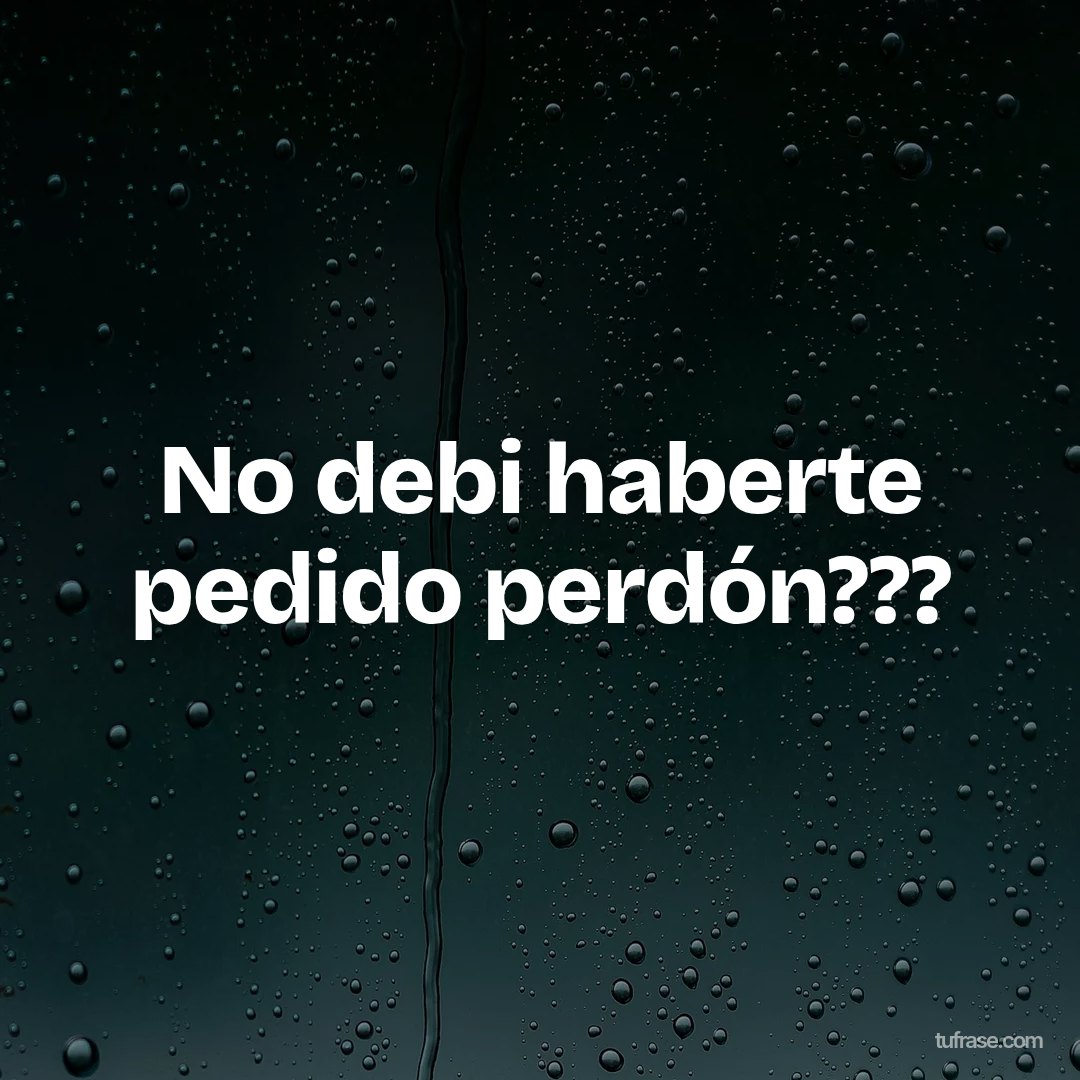 No debi haberte pedido perdón???