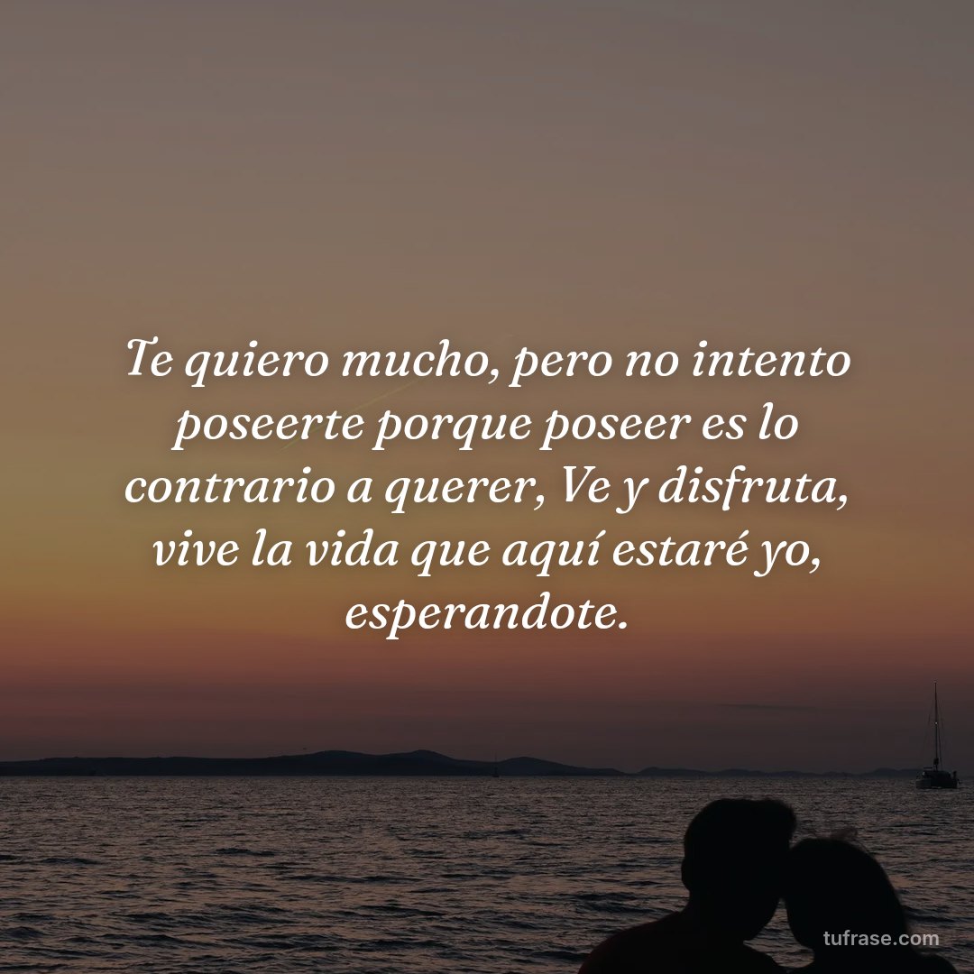 Te quiero mucho, pero no intento poseerte porque poseer es lo contrario a querer, Ve y disfruta, vive la vida que aquí estaré yo, esperandote.