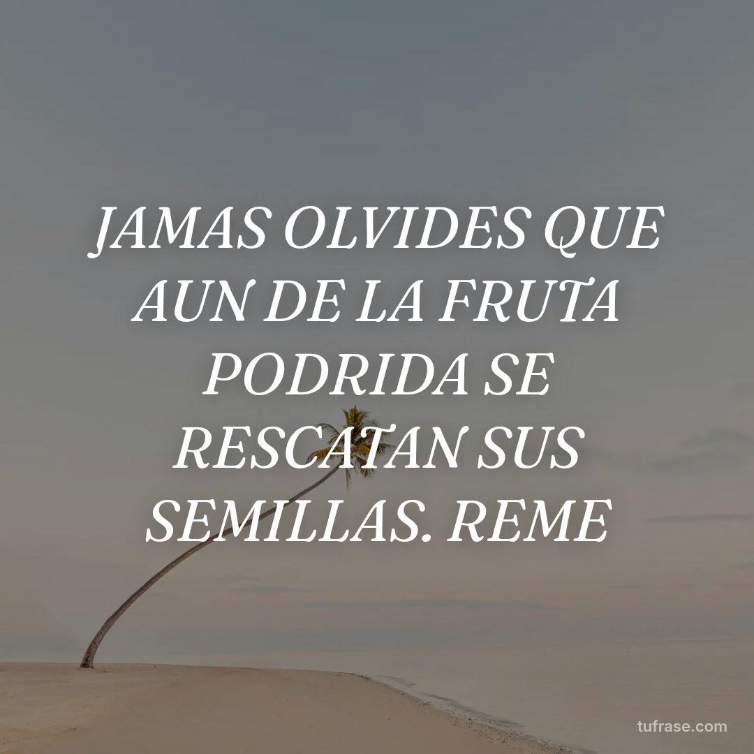 JAMAS OLVIDES QUE AUN DE LA FRUTA PODRIDA SE RESCATAN SUS SEMILLAS. REME