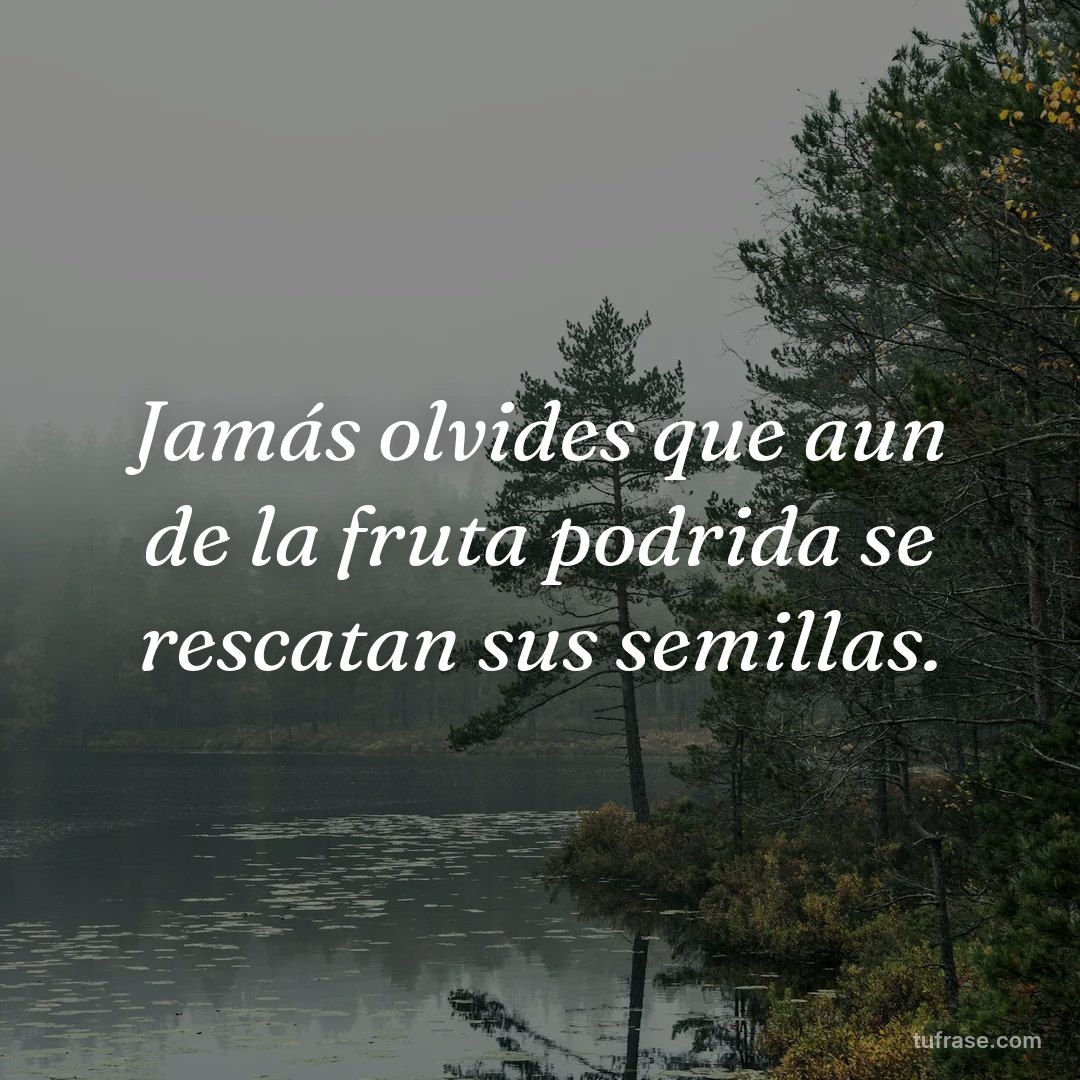 Jamás olvides que aun de la fruta podrida se rescatan sus semillas.
