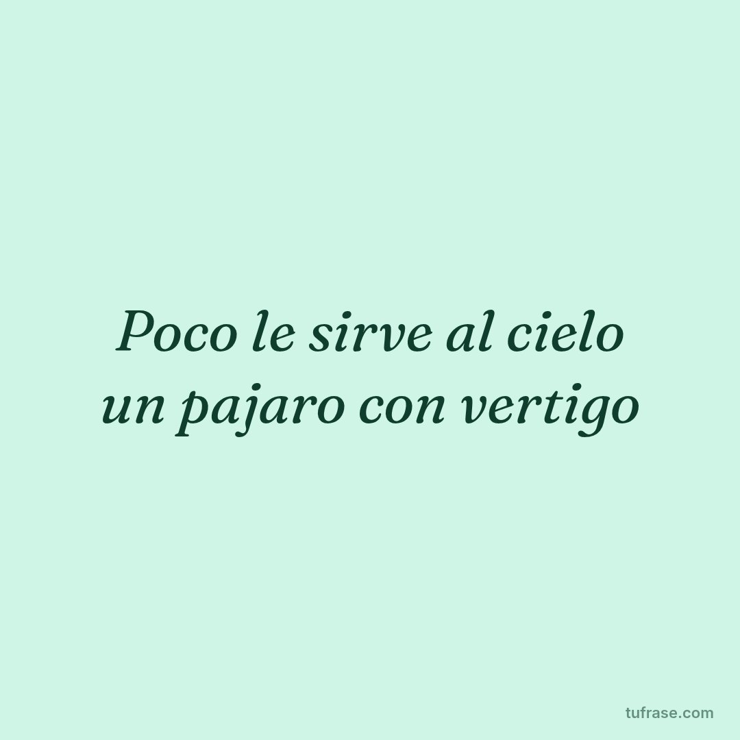 Poco le sirve al cielo un pajaro con vertigo