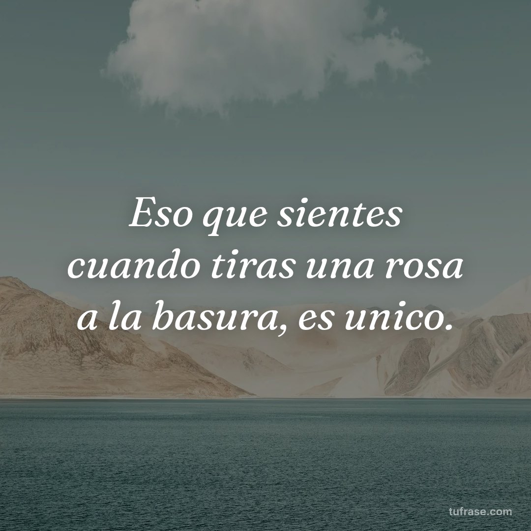 Eso que sientes cuando tiras una rosa a la basura, es unico.