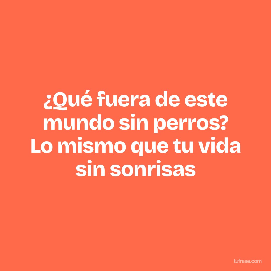 ¿Qué fuera de este mundo sin perros? Lo mismo que tu vida sin sonrisas
