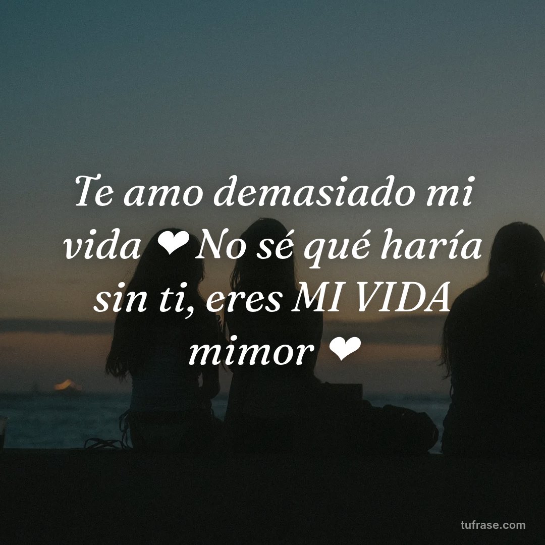 Te amo demasiado mi vida ❤️ No sé qué haría sin ti, eres MI VIDA mimor ❤️
