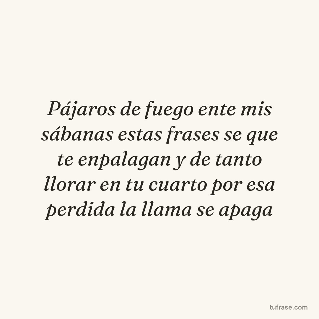 Pájaros de fuego ente mis sábanas estas frases se que te enpalagan y de tanto llorar en tu cuarto por esa perdida la llama se apaga