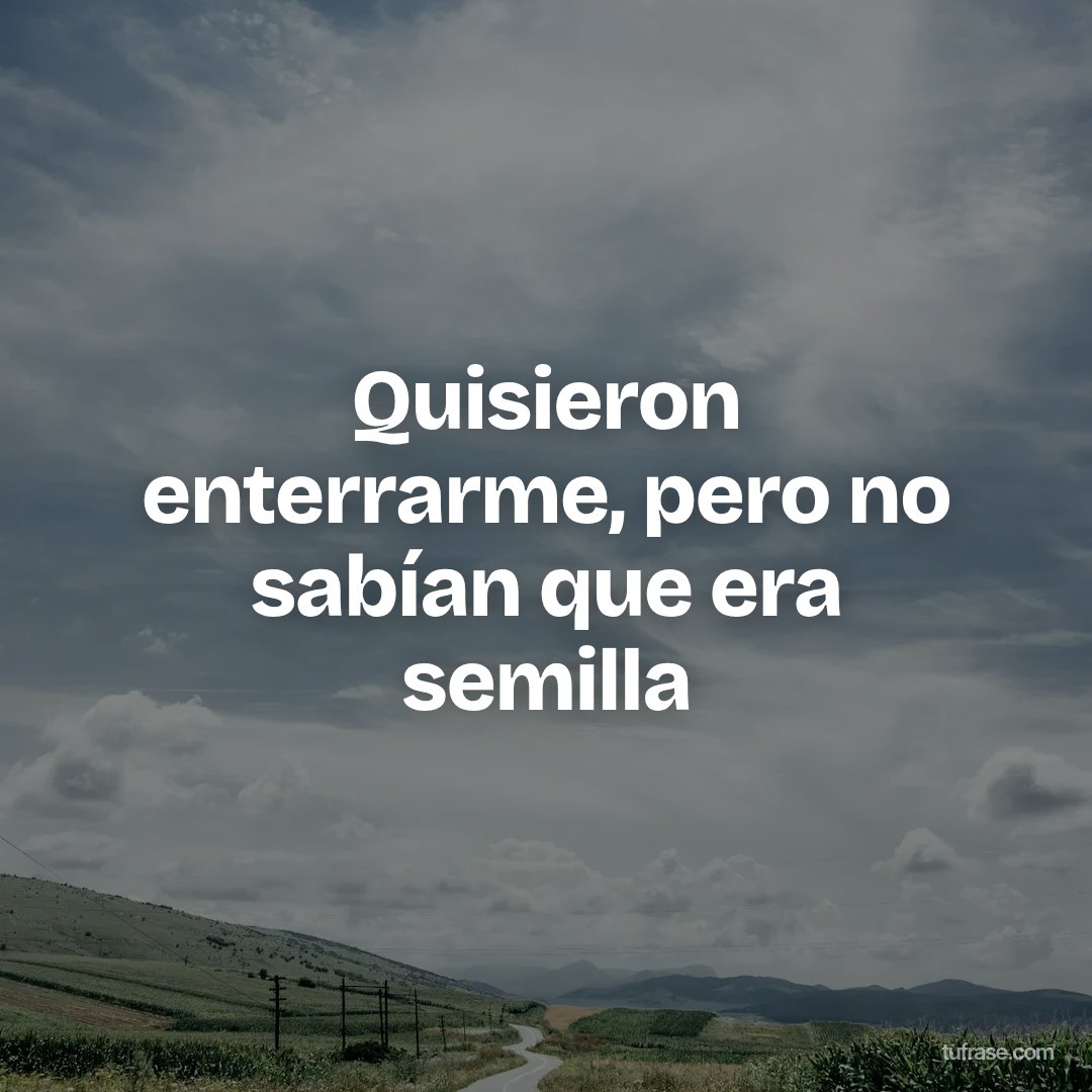 Quisieron enterrarme, pero no sabían que era semilla