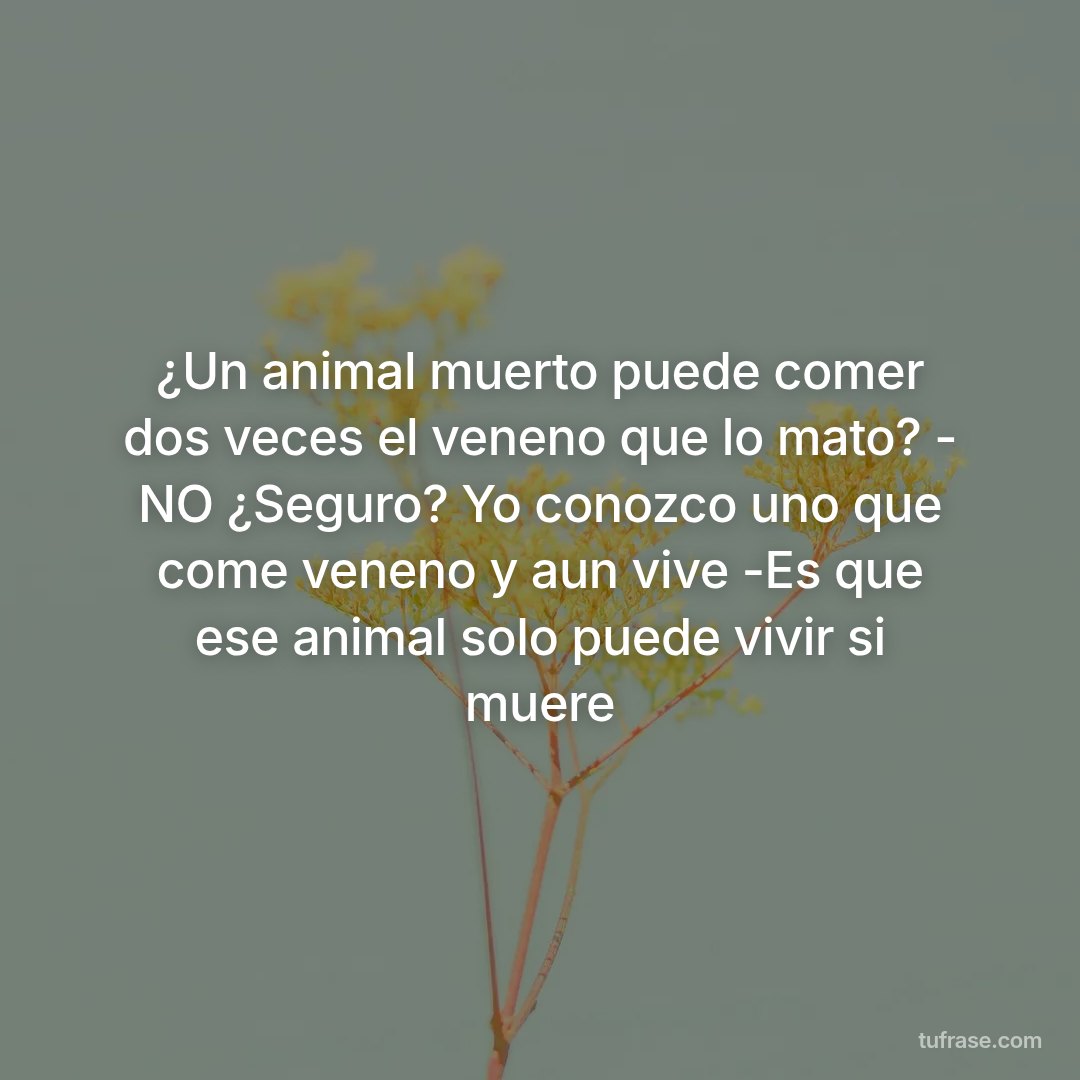 ¿Un animal muerto puede comer dos veces el veneno que lo mato? - NO ¿Seguro? Yo conozco uno que come veneno y aun vive -Es que ese animal solo puede vivir si muere