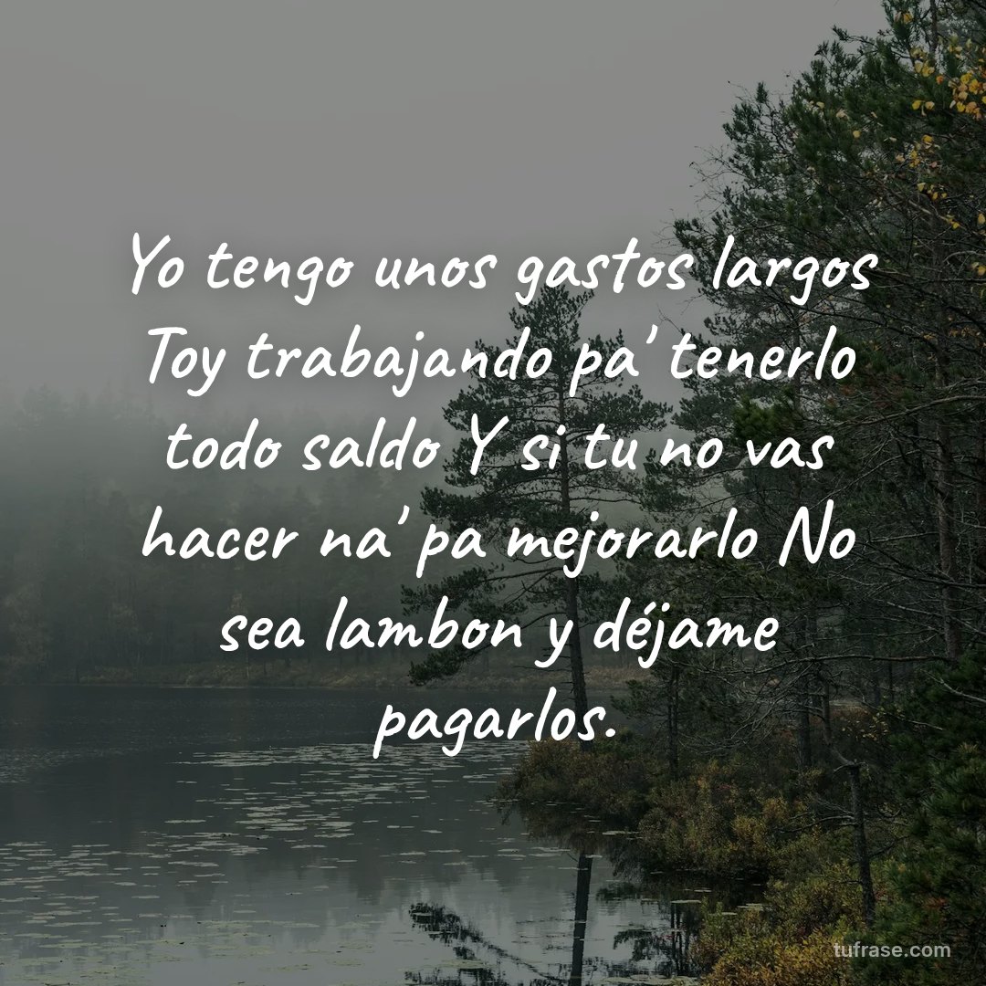 Yo tengo unos gastos largos Toy trabajando pa' tenerlo todo saldo Y si tu no vas hacer na' pa mejorarlo No sea lambon y déjame pagarlos.