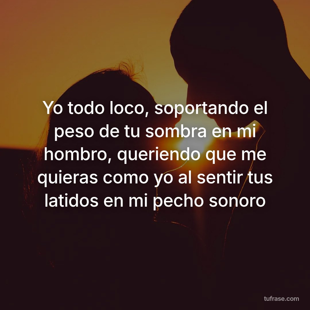 Yo todo loco, soportando el peso de tu sombra en mi hombro, queriendo que me quieras como yo al sentir tus latidos en mi pecho sonoro