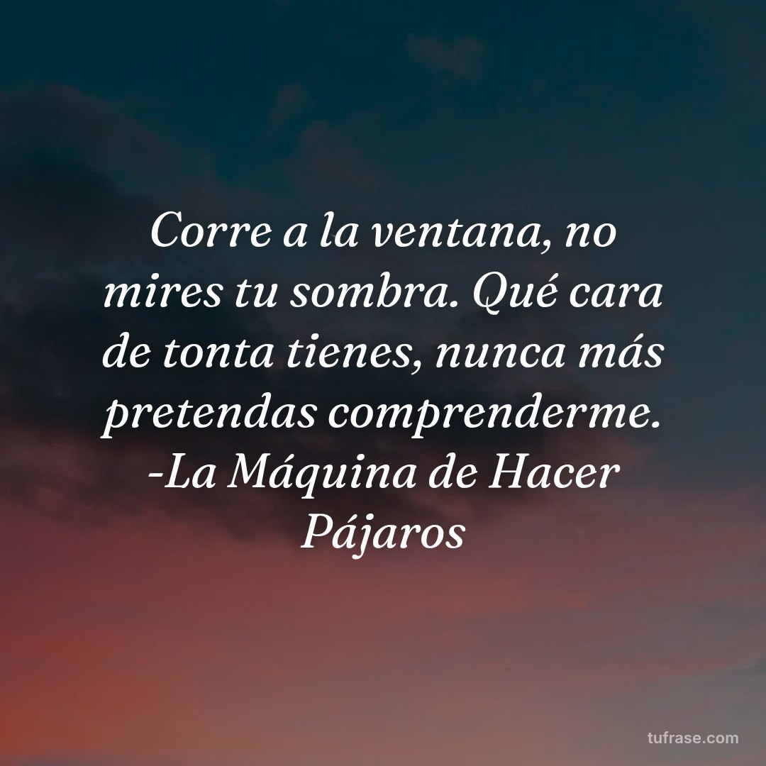 Corre a la ventana, no mires tu sombra. Qué cara de tonta tienes, nunca más pretendas comprenderme. -La Máquina de Hacer Pájaros