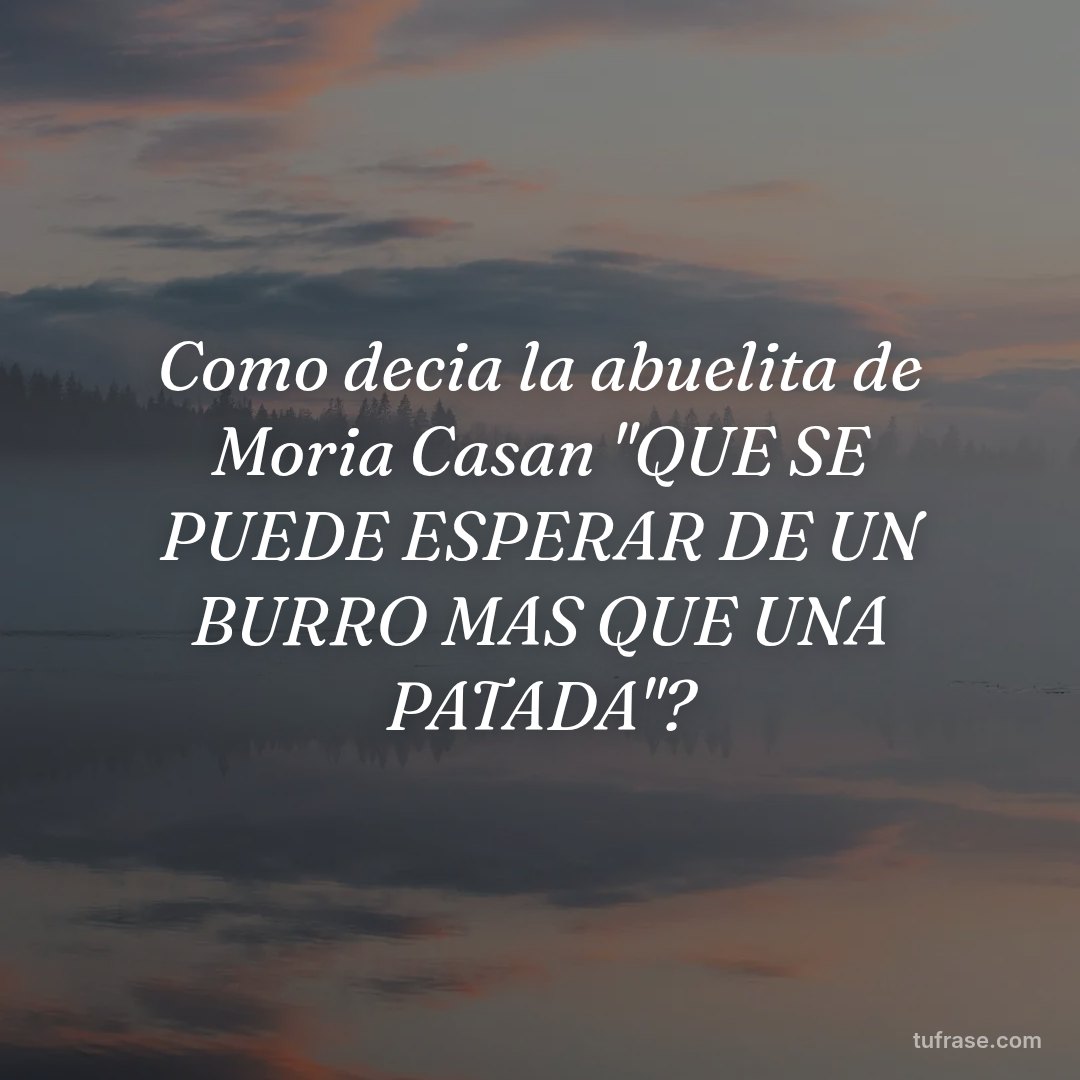 Como decia la abuelita de Moria Casan "QUE SE PUEDE ESPERAR DE UN BURRO MAS QUE UNA PATADA"?