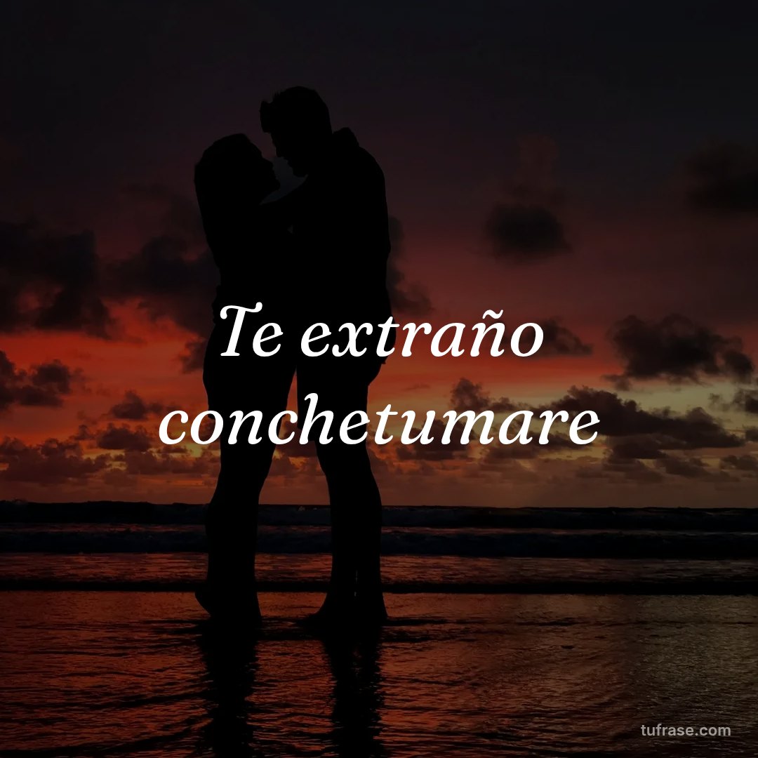 Te extraño conchetumare